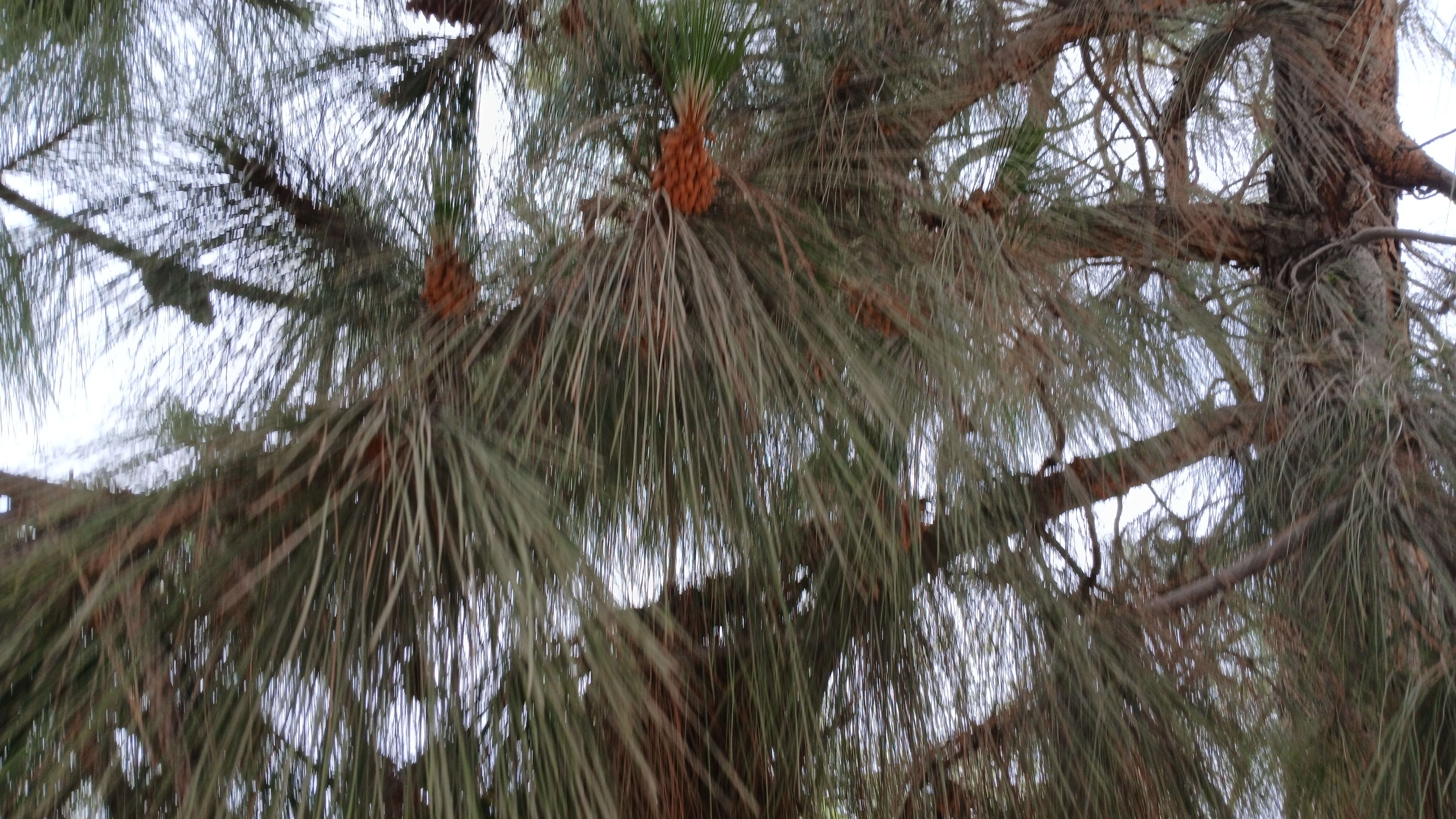20250423_121934_copy_7524x4234.jpg