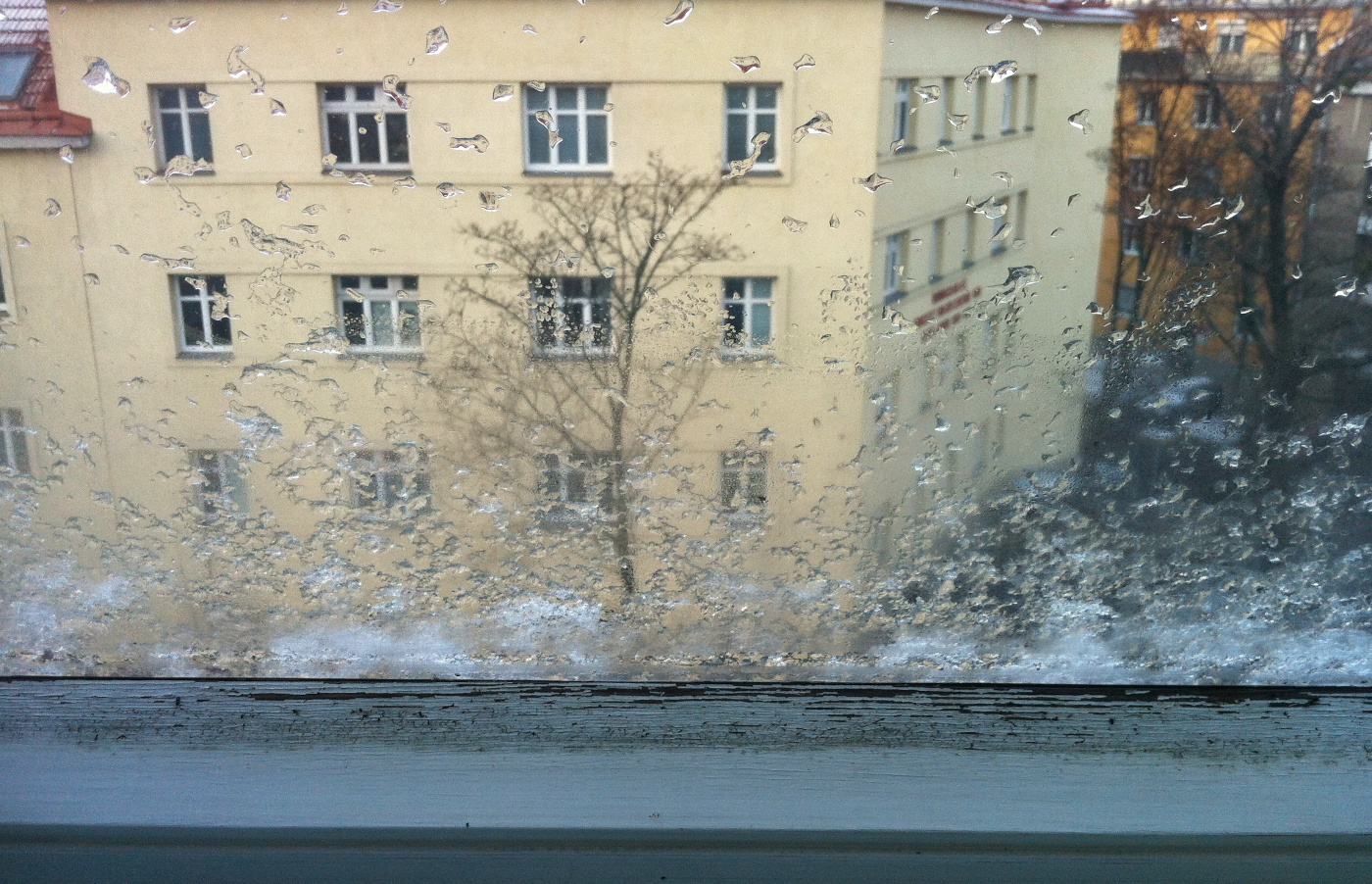 after-storm-001.jpg