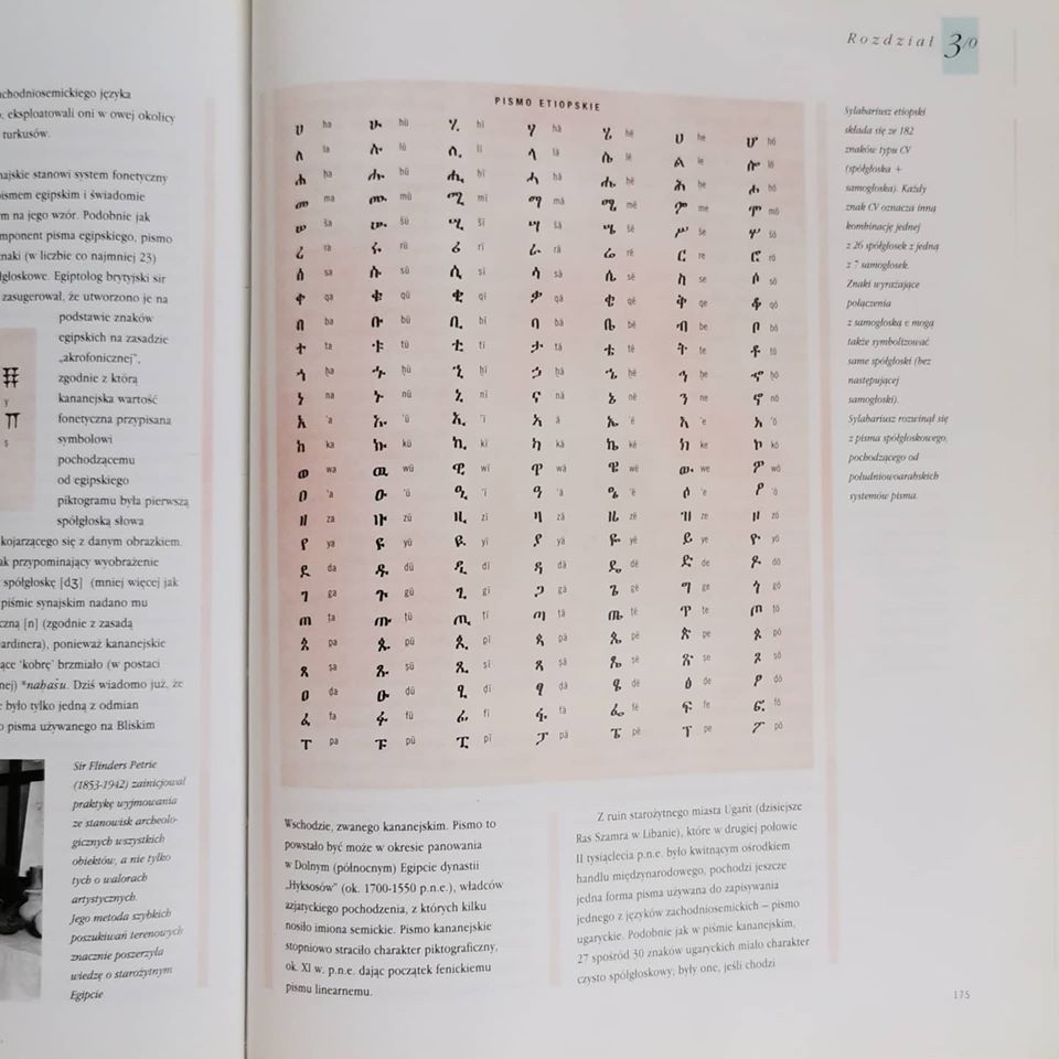 08.jpg