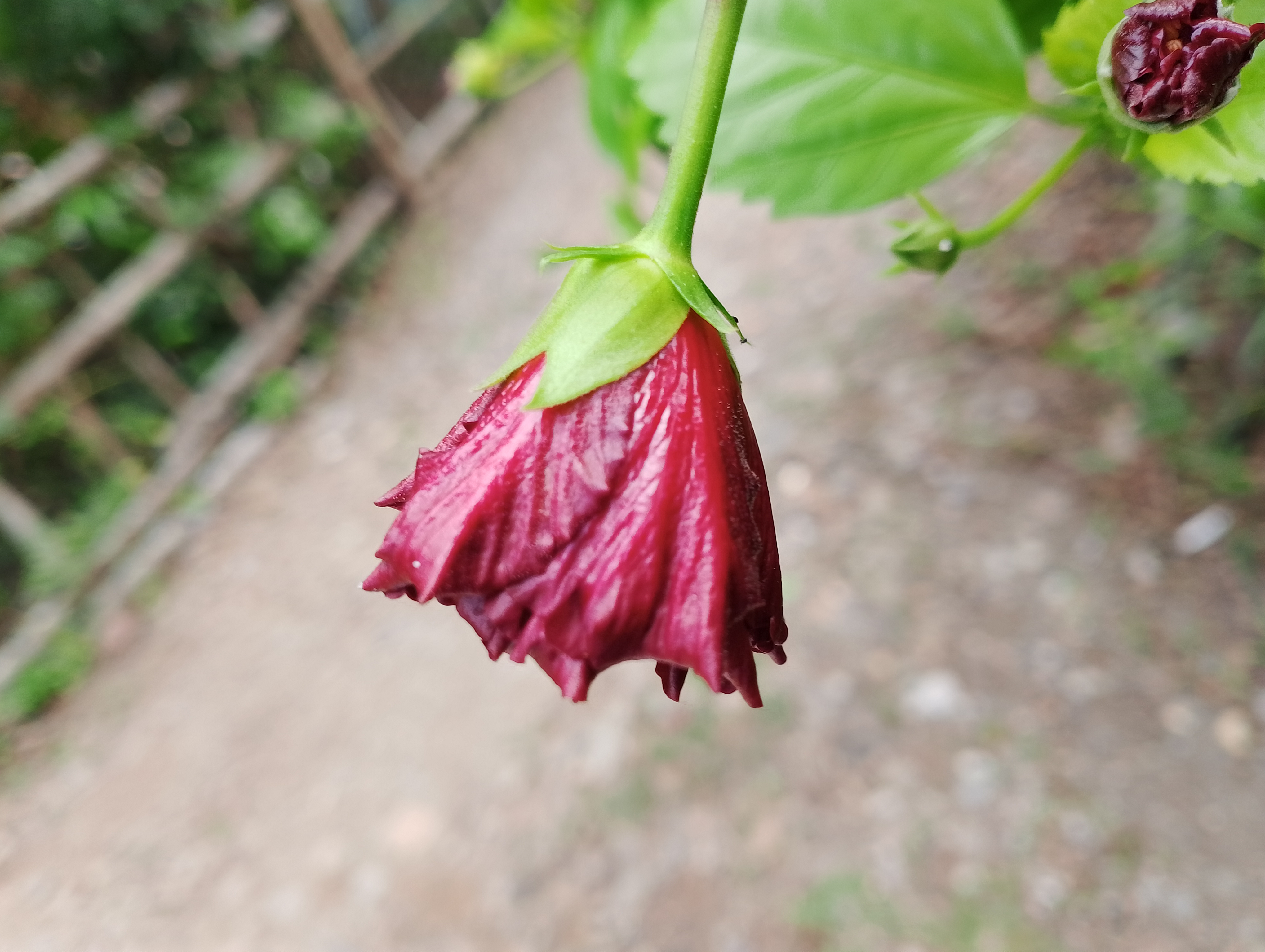 IMG_20250527_102540.jpg