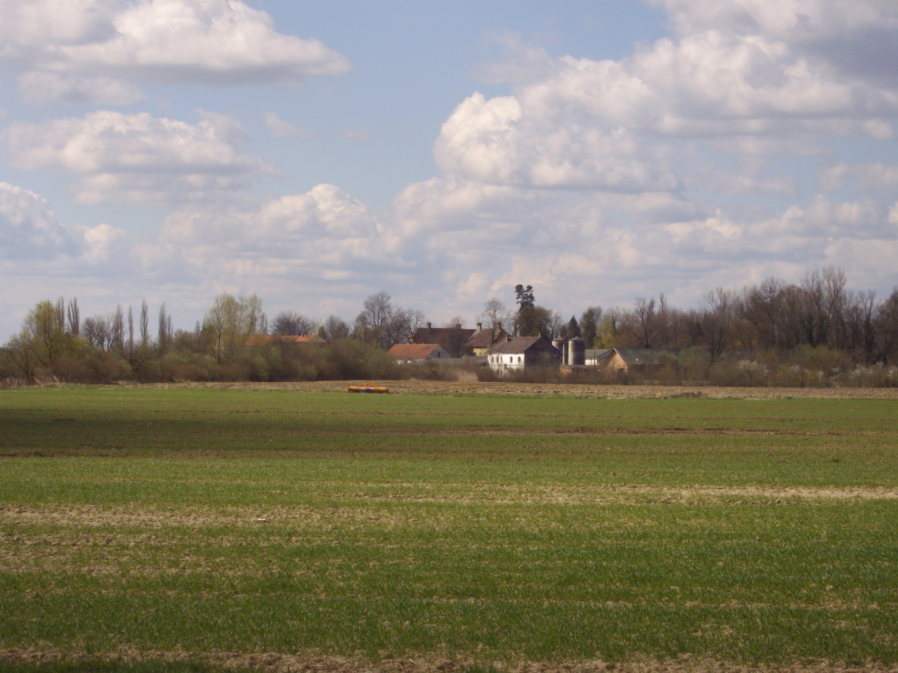 IMGP5218.JPG
