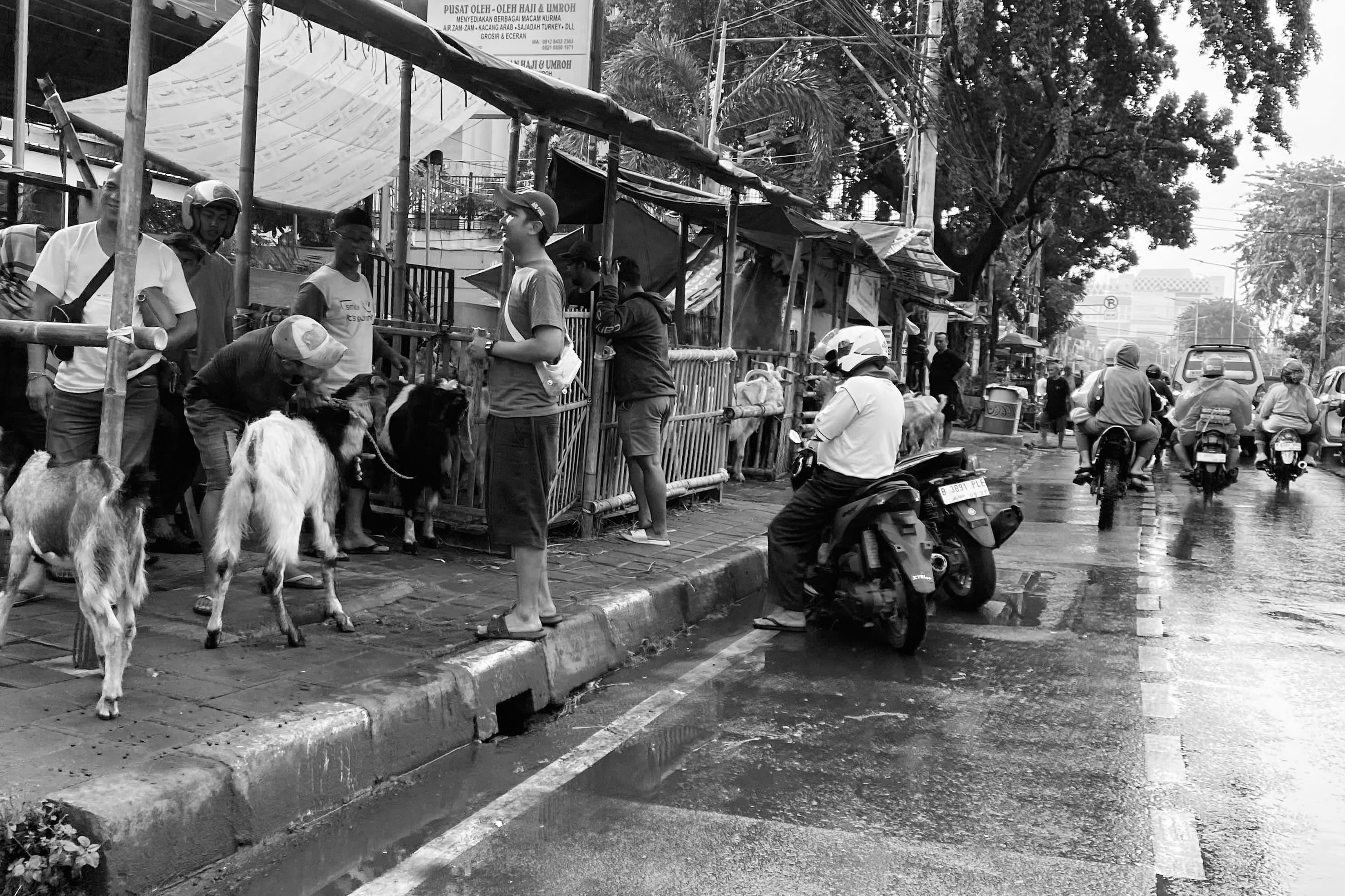 image00002-01-min.jpeg