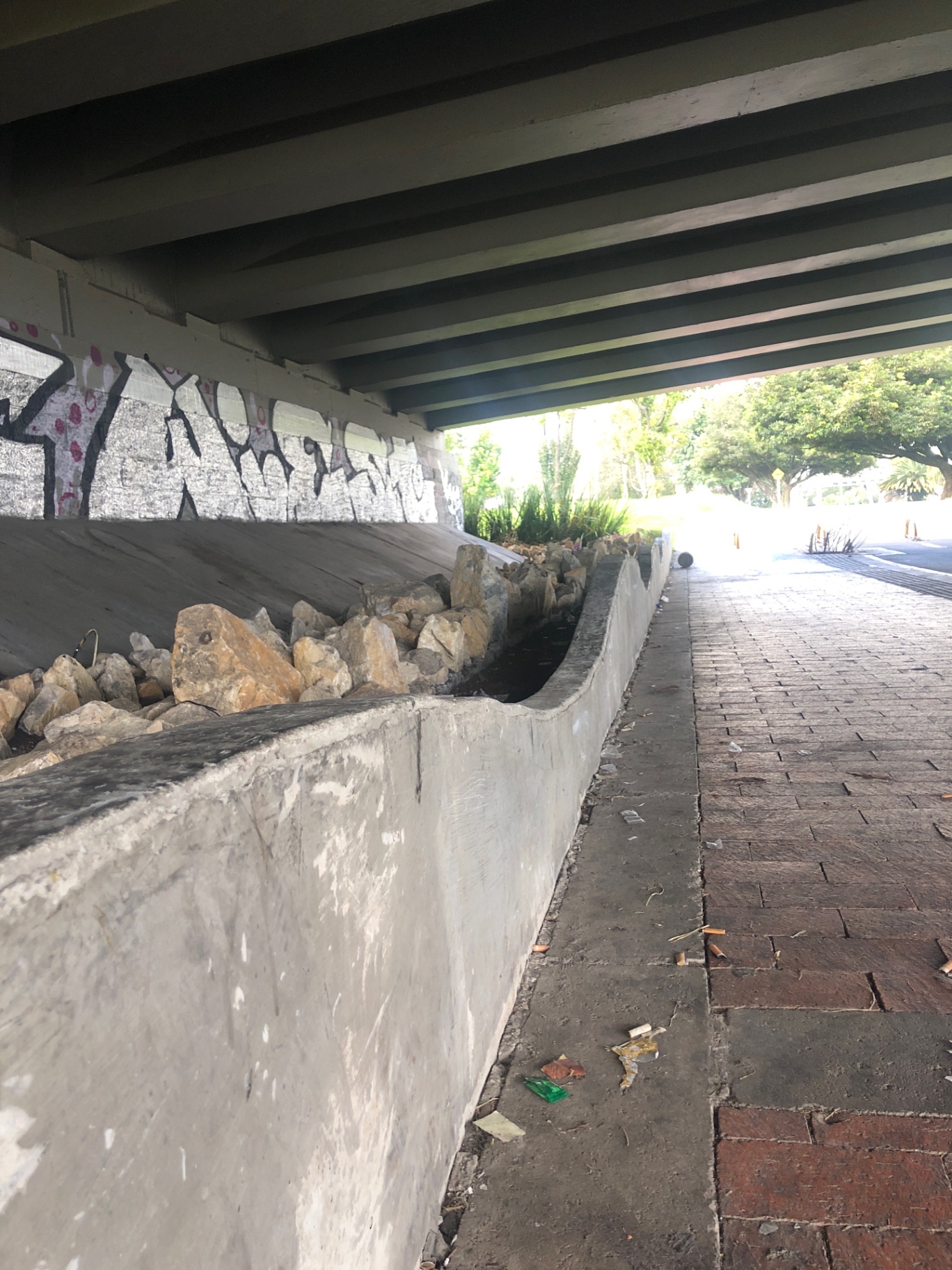 Norte bajo el puente 
