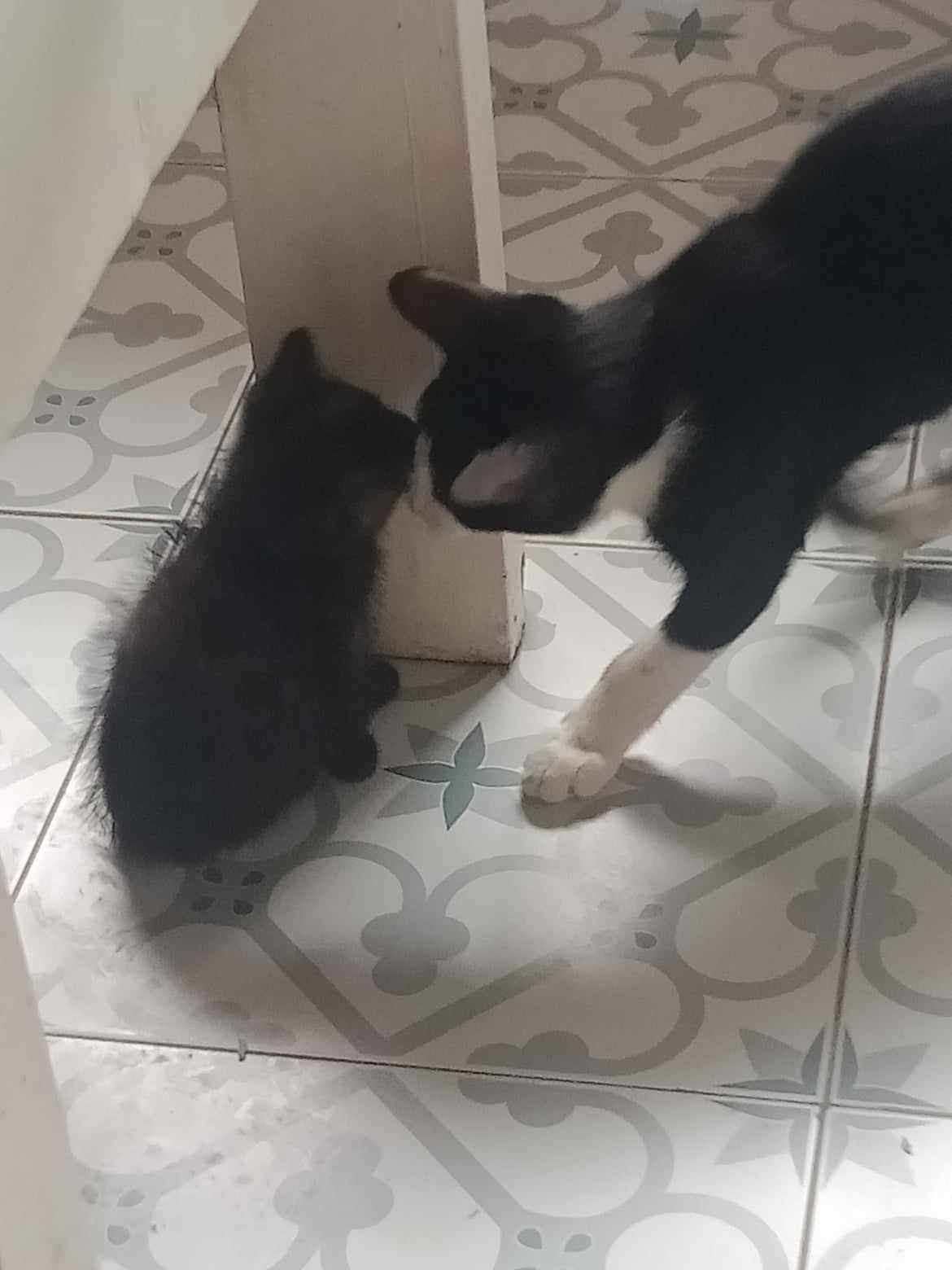 received_737070555040358.jpeg