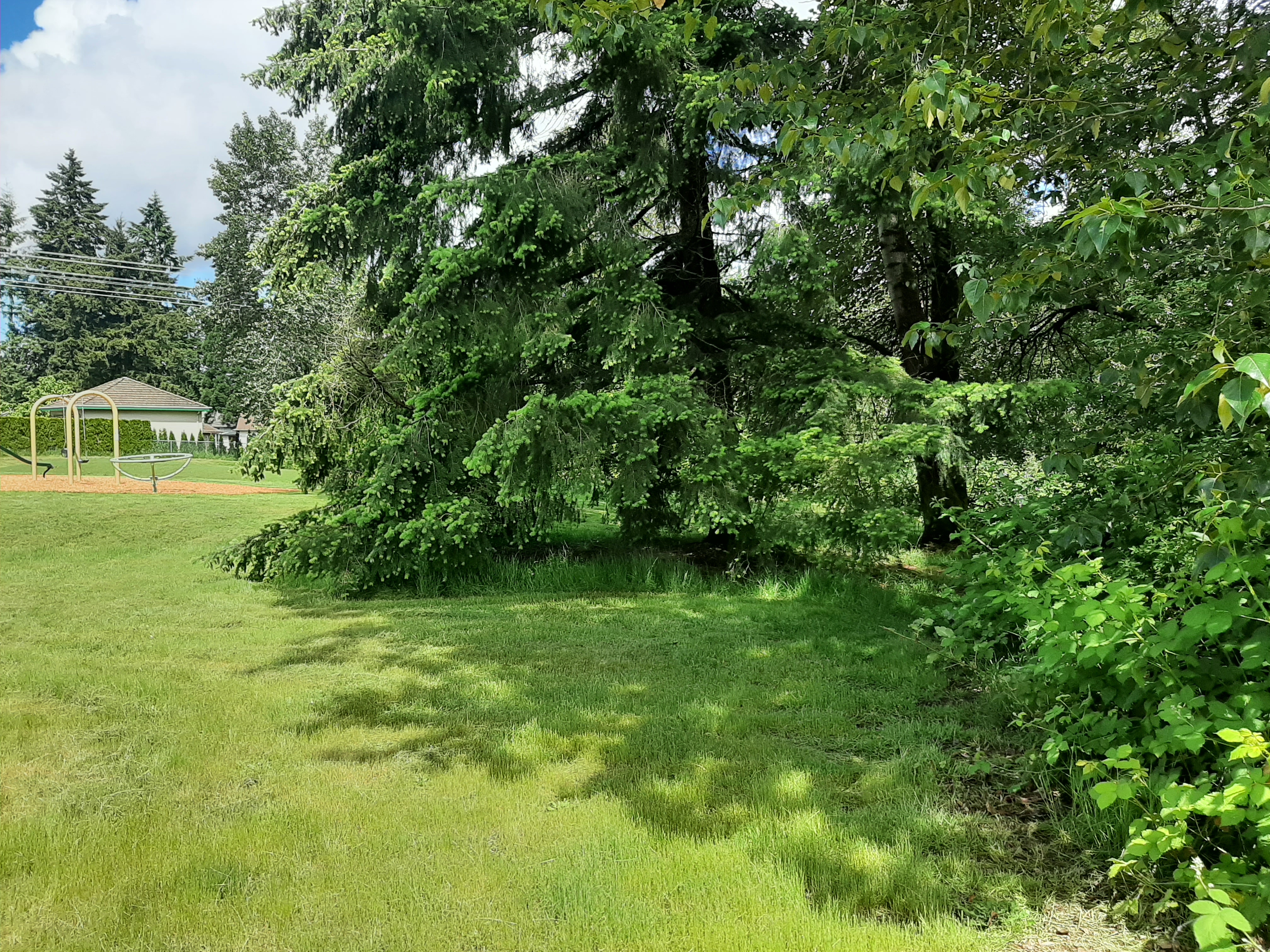 20220610_111339.jpg
