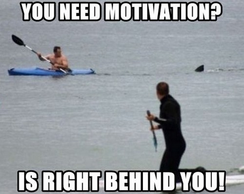 paddling_guys_funny_inspirational_meme1.jpg