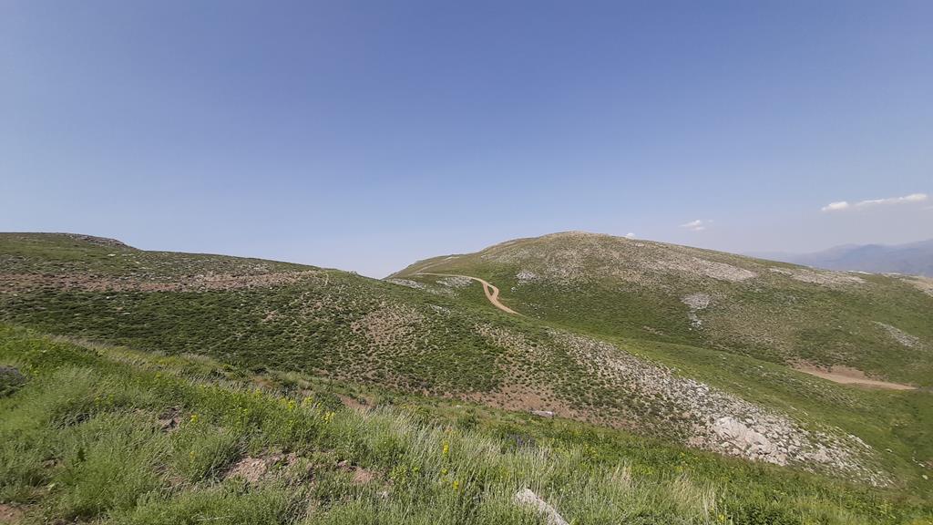 20250608_145104.jpg
