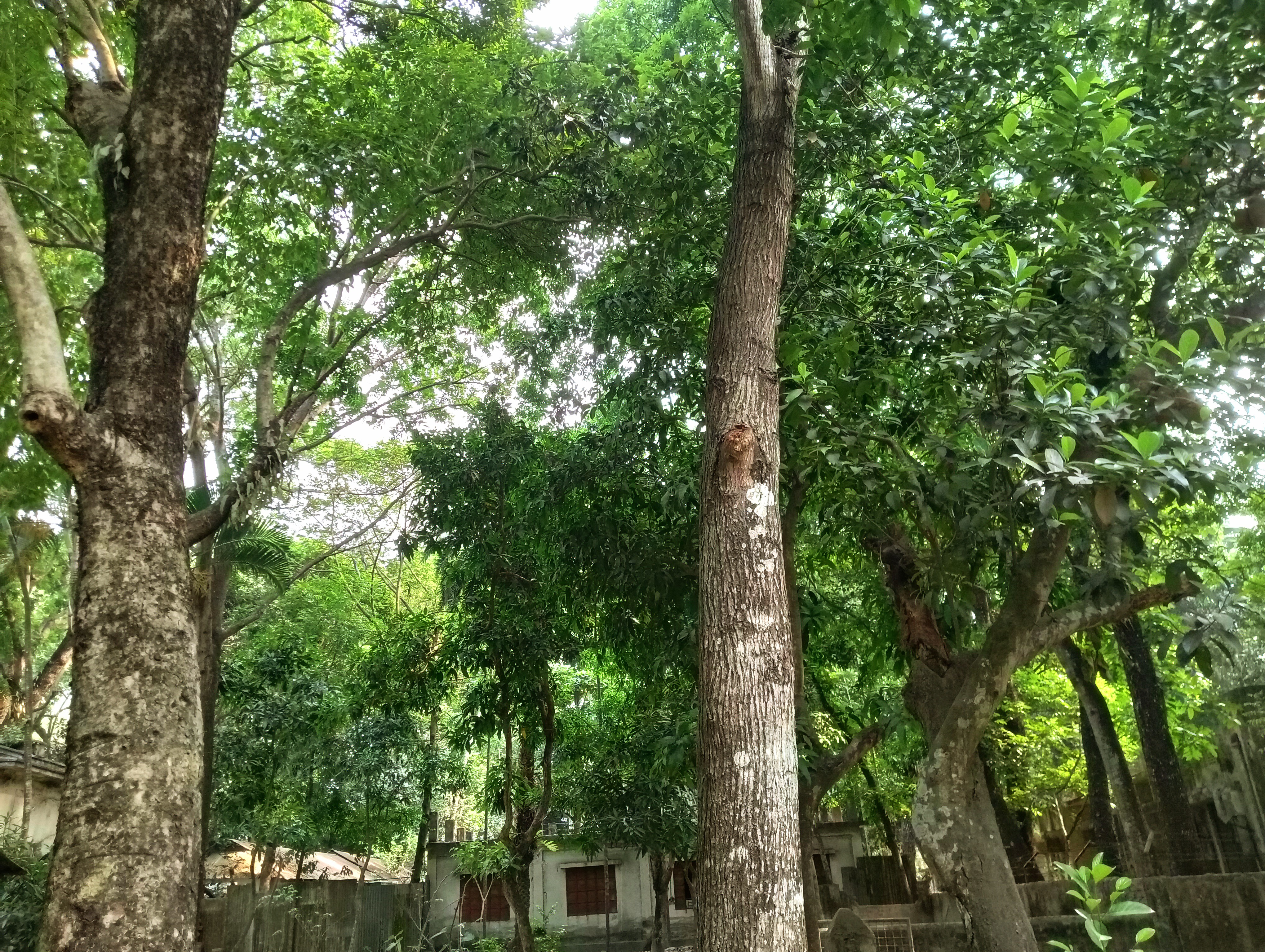 IMG20250506145624.jpg