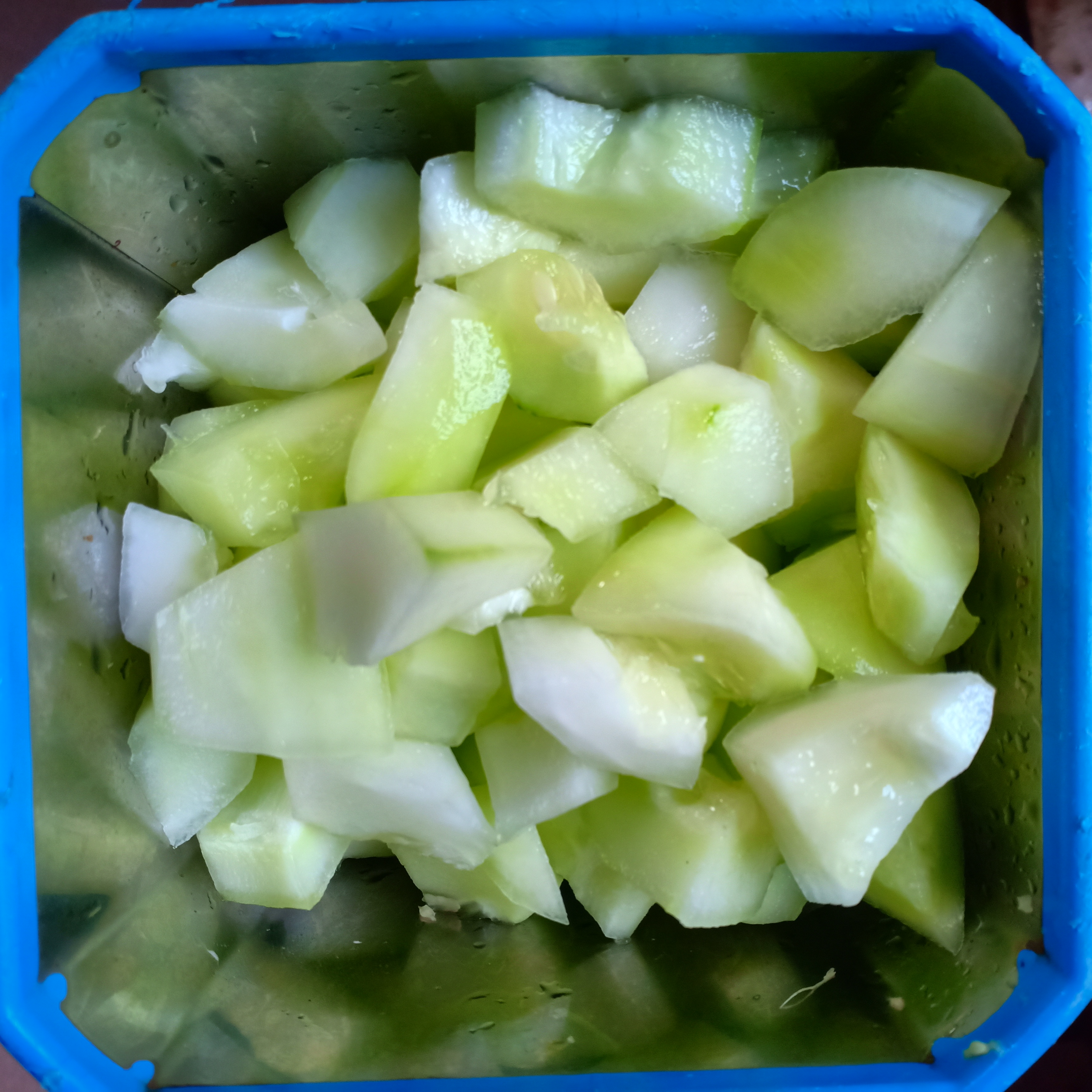 IMG20250322152233.jpg
