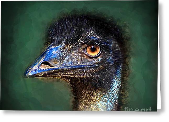 emu-profile cardsjpg.jpg