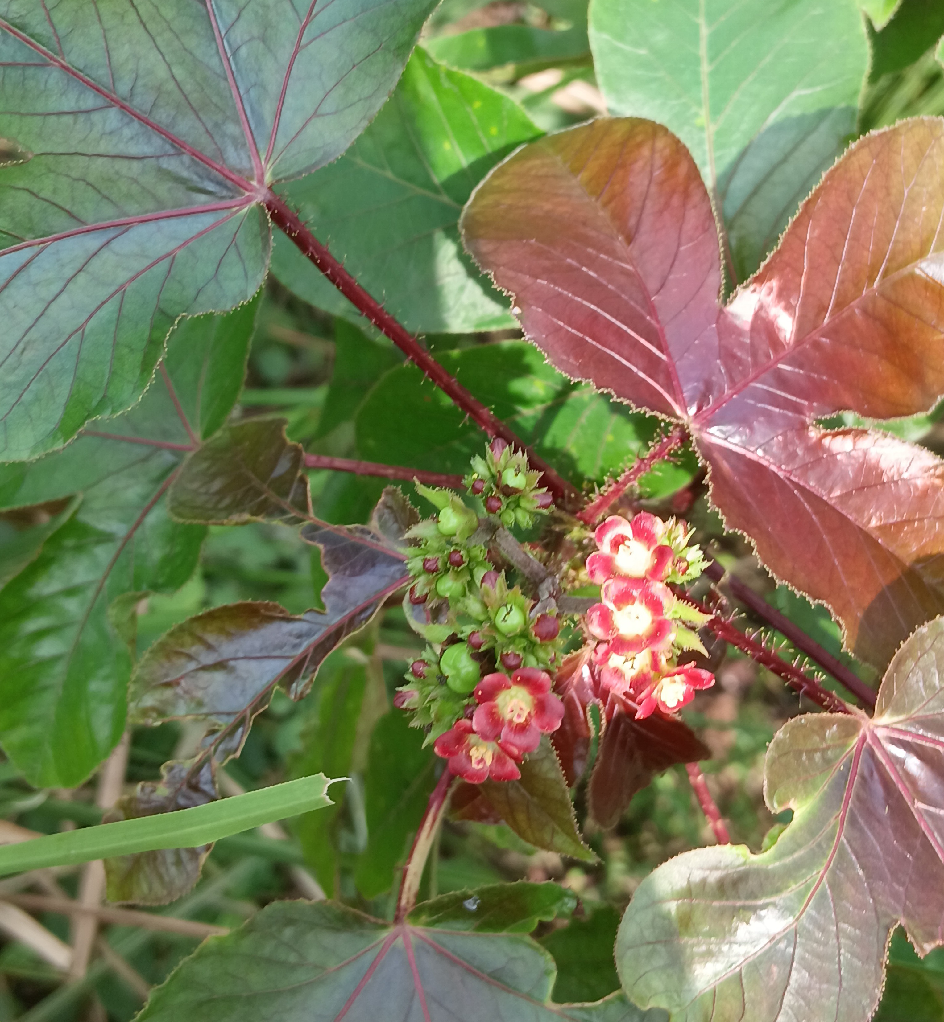 20250801_095536.jpg