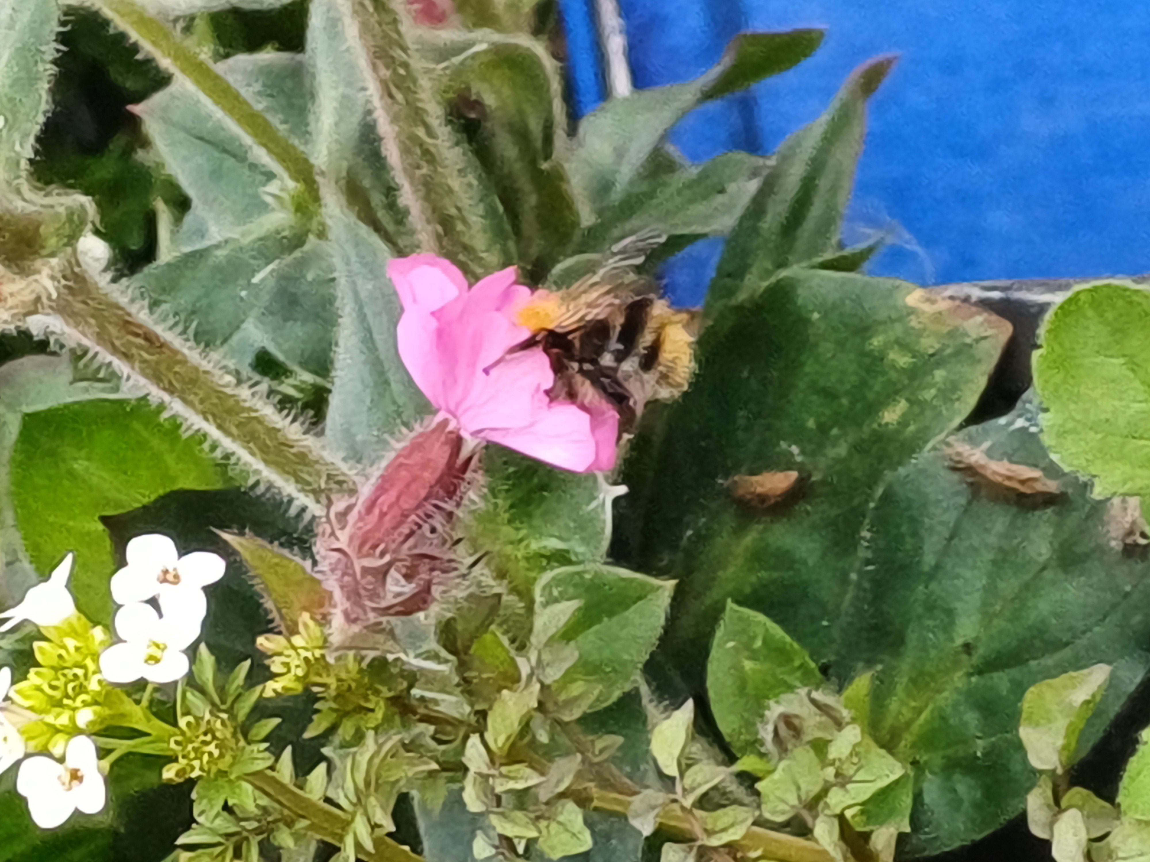 20250530_084314.jpg