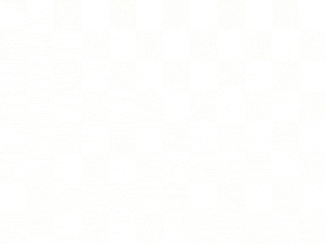 Araneidae(1).gif