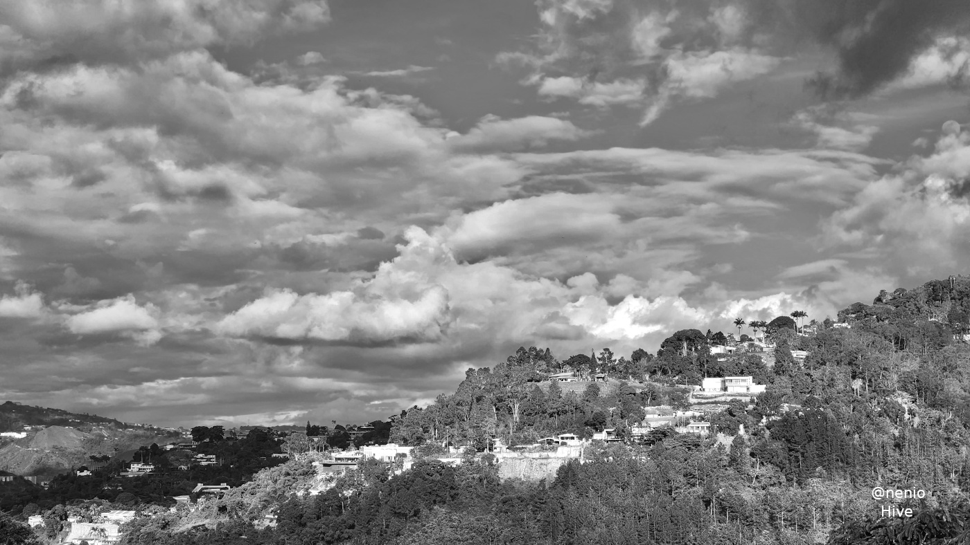 green-hills-001-bw.jpg
