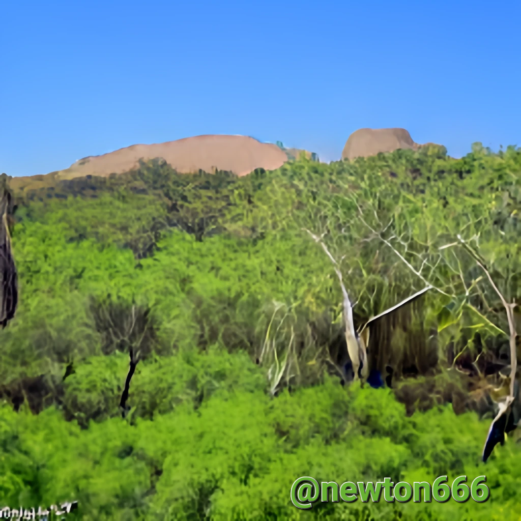 desierto verde con selva rocosa y rios de un planeta muy lejano.png