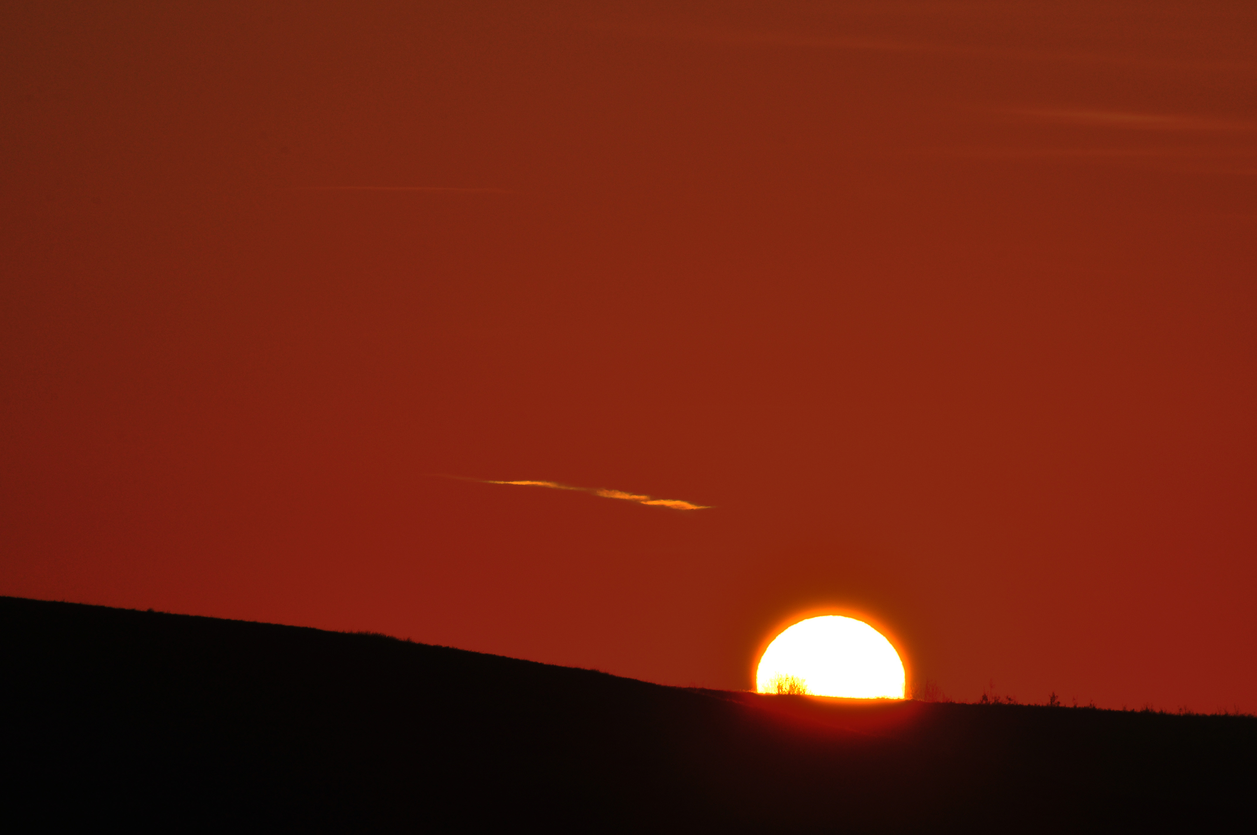 NoseHill Oct202010-109-WEB.jpg