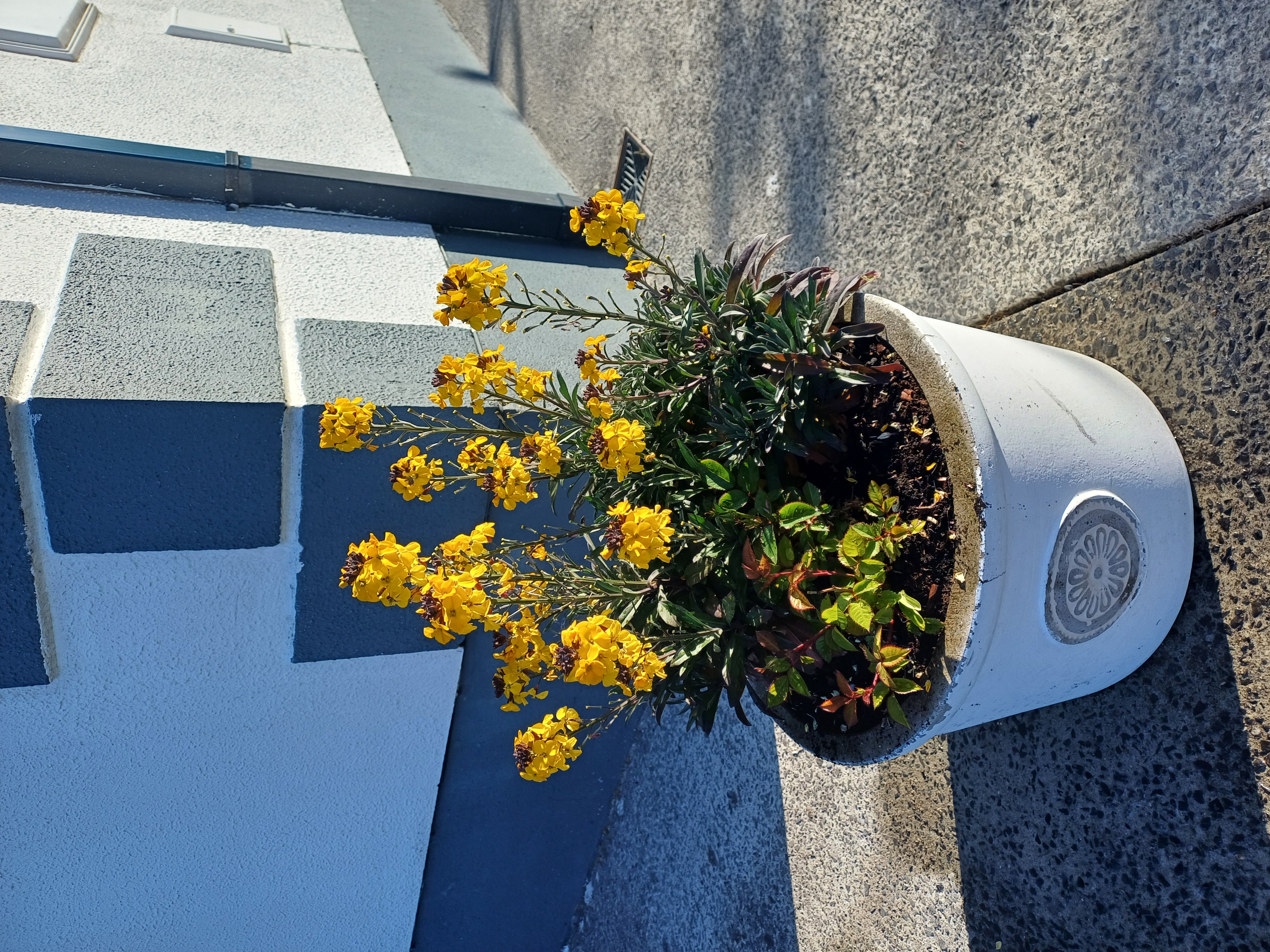 20250512_080517.jpg