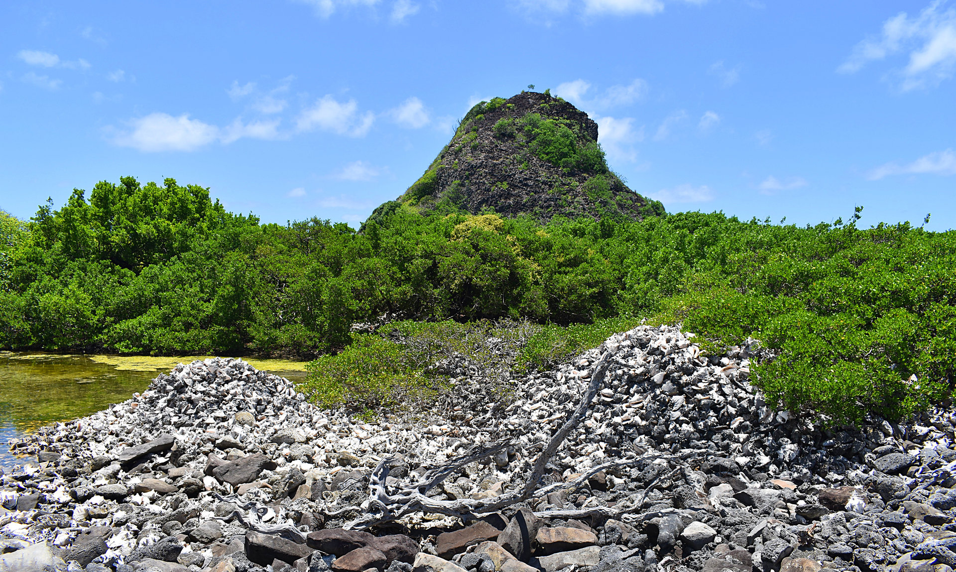 Carriacou-16.jpg