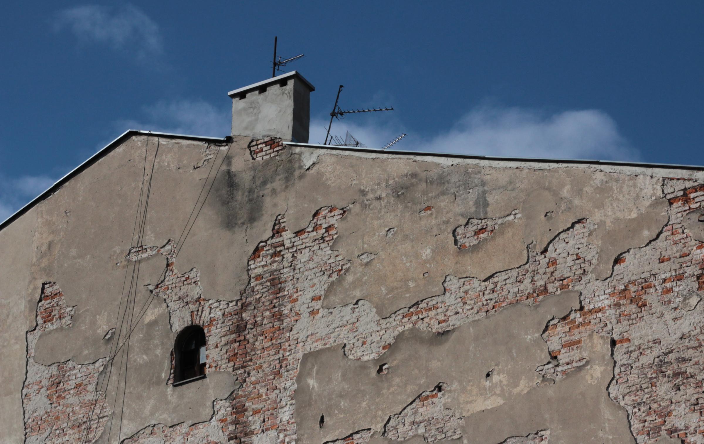 IMG_7282-crop.JPG