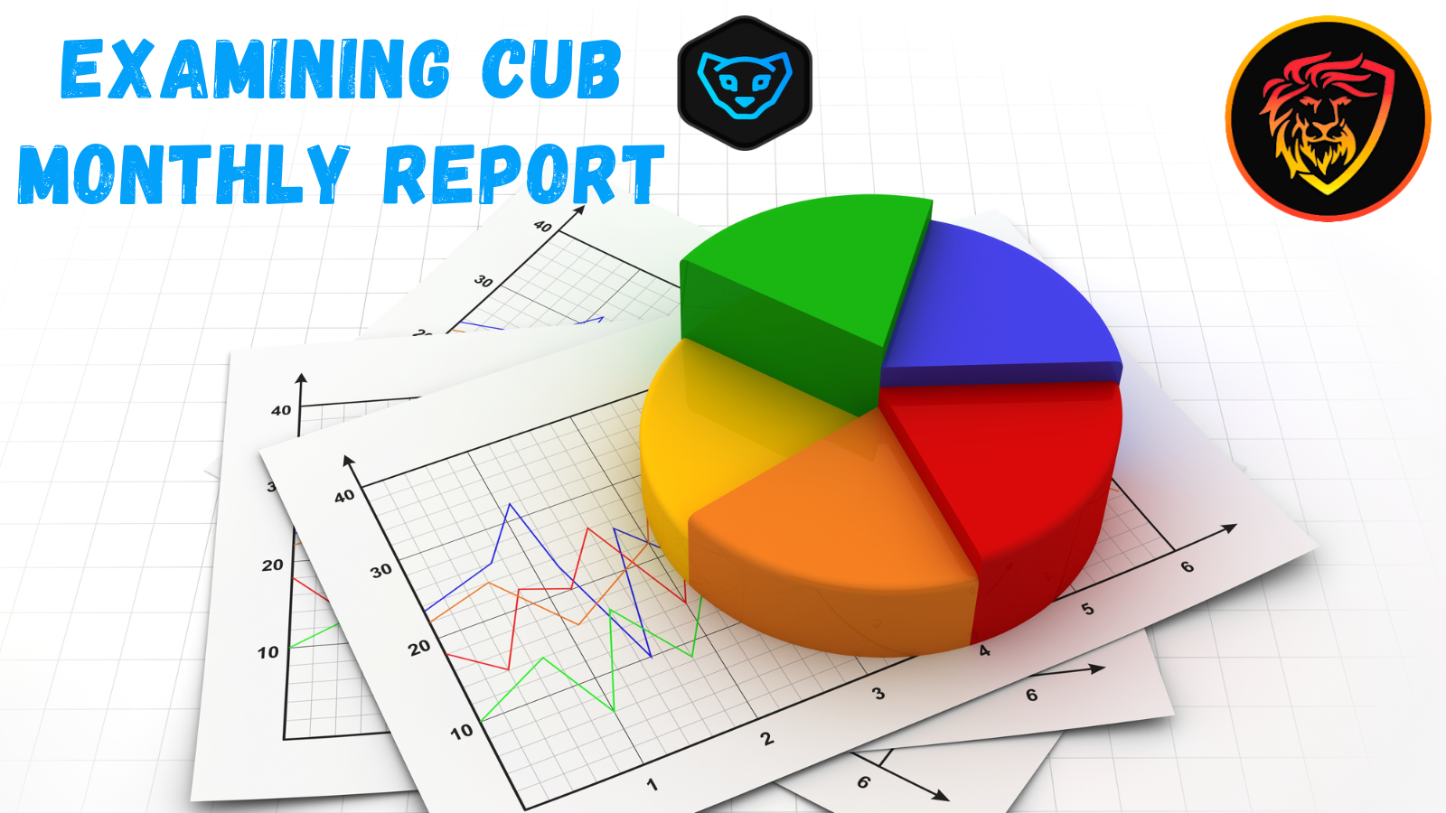 cub defi monthly report.png