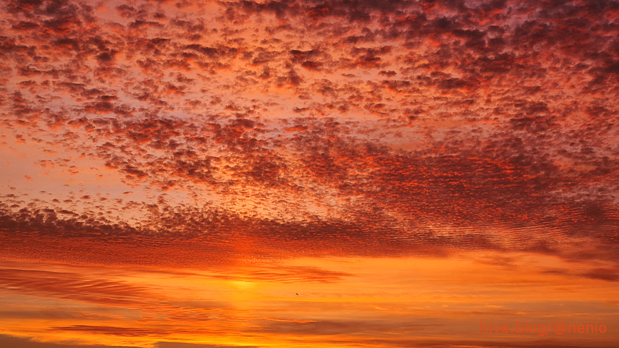 clouds-sunset-001.jpg