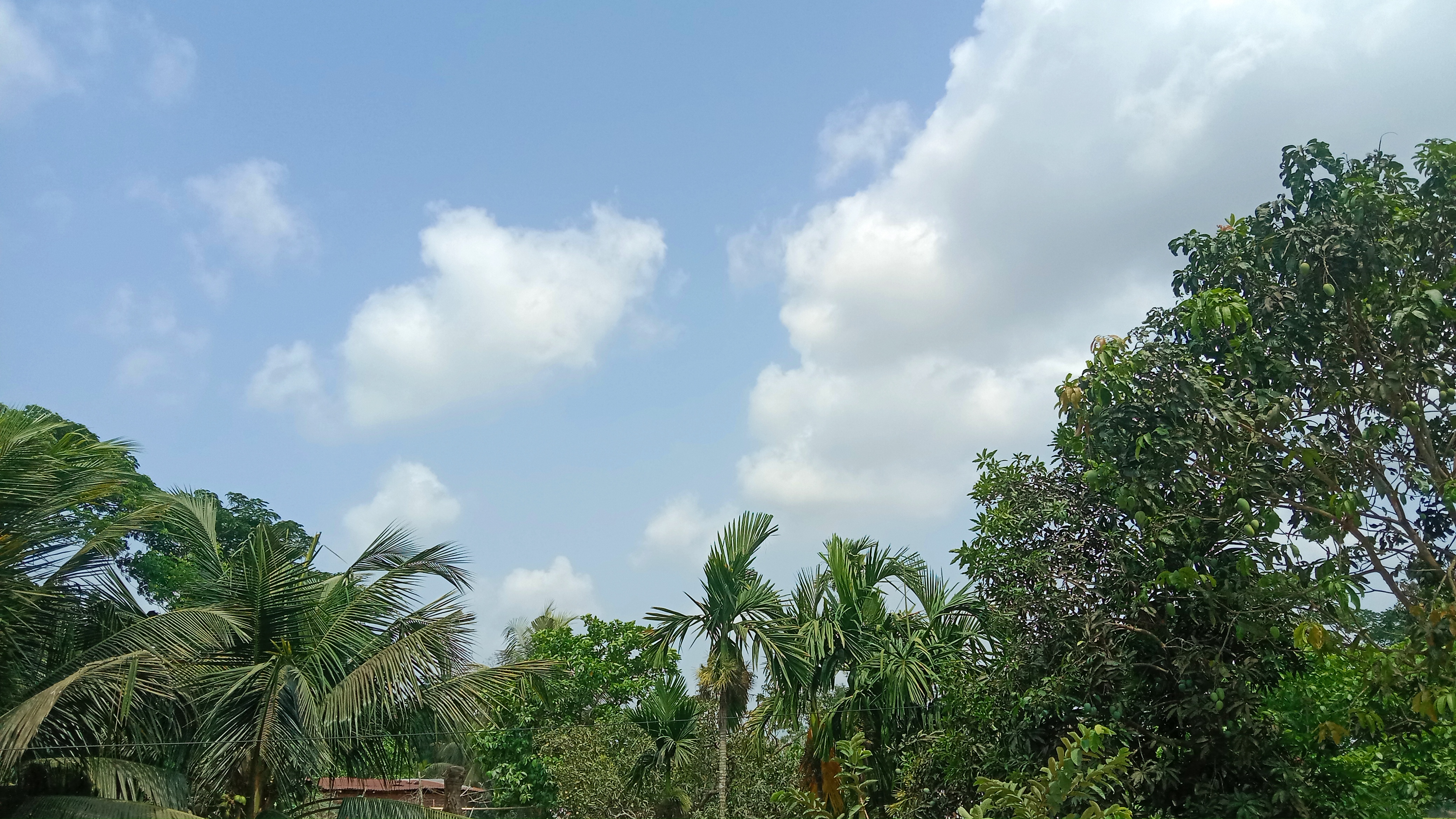 IMG_20250428_133123_309.jpg