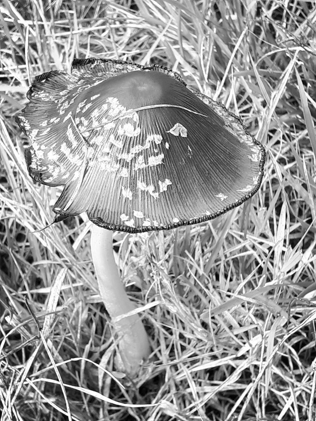 20201102_112220.jpg