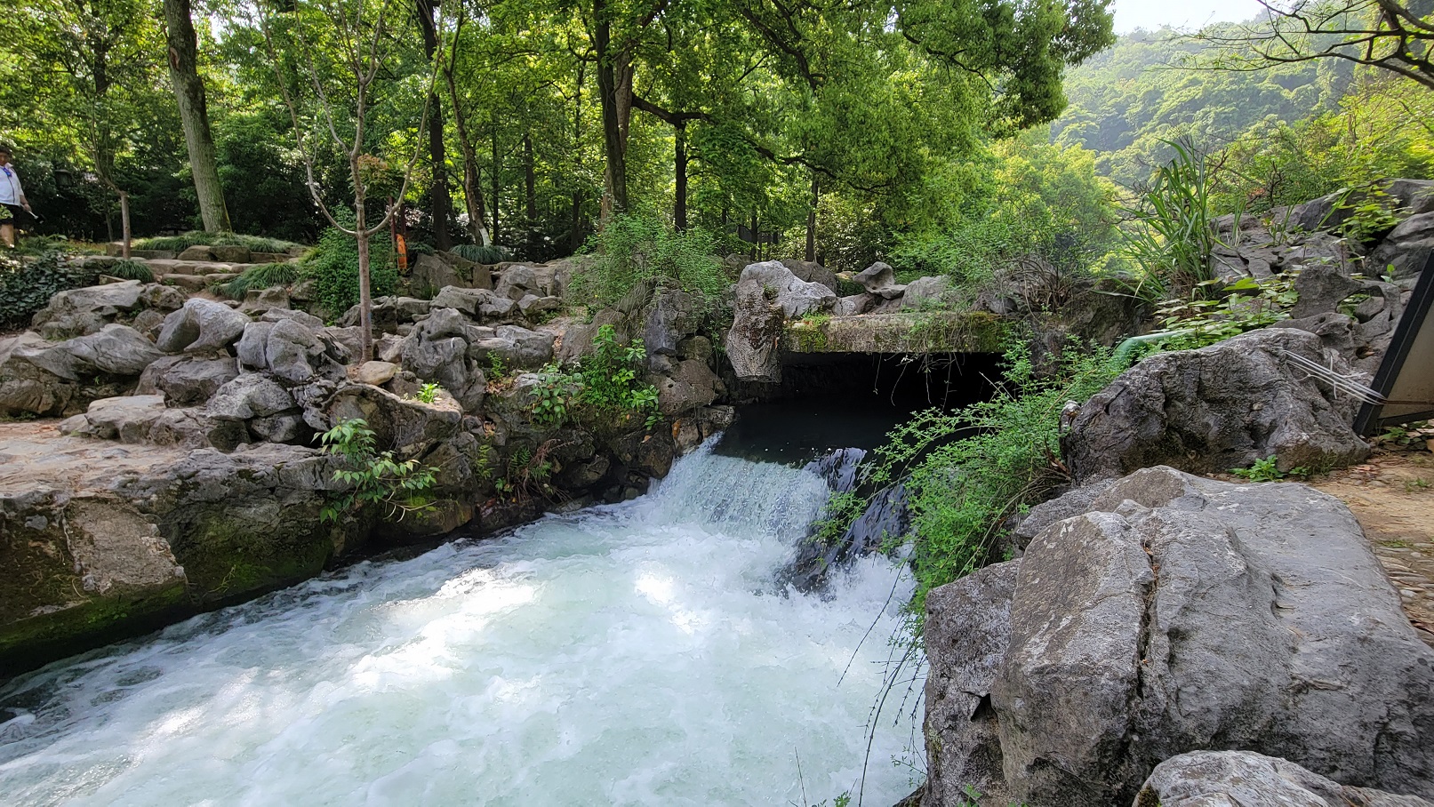 20230417_100659.jpg