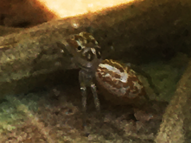 IMG_8911s.png