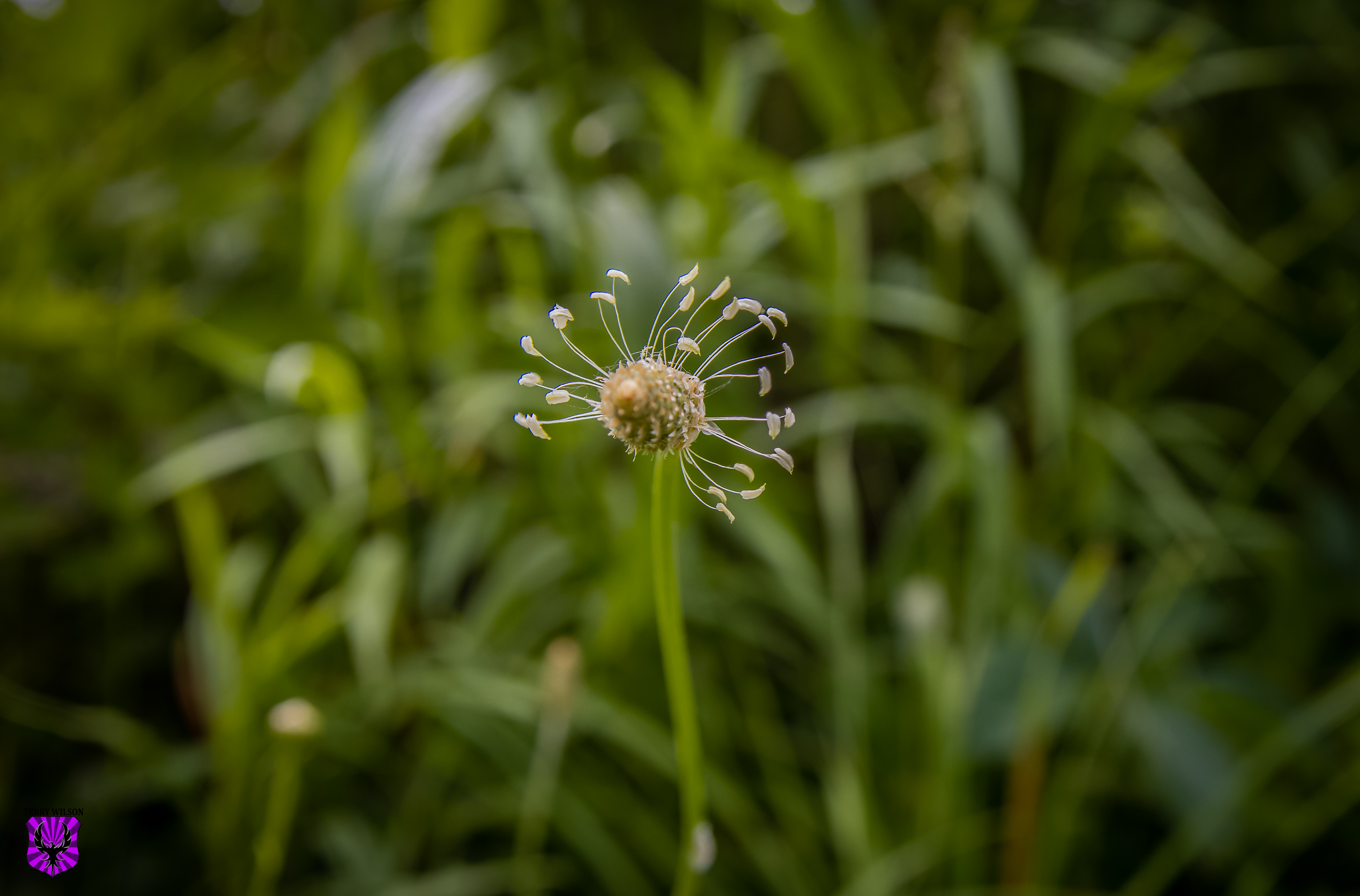 IMG_3673-2.jpg