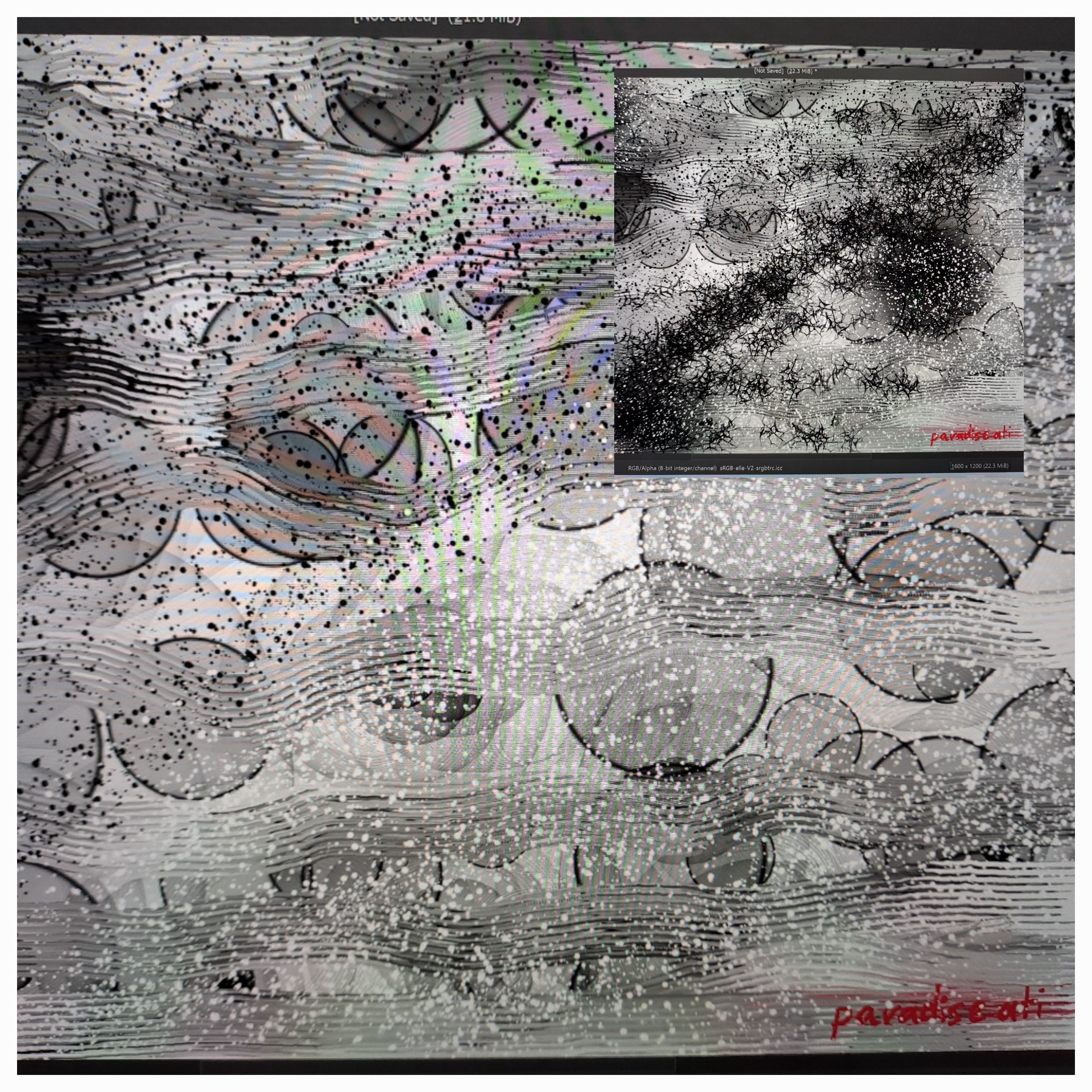 1000011651.jpg