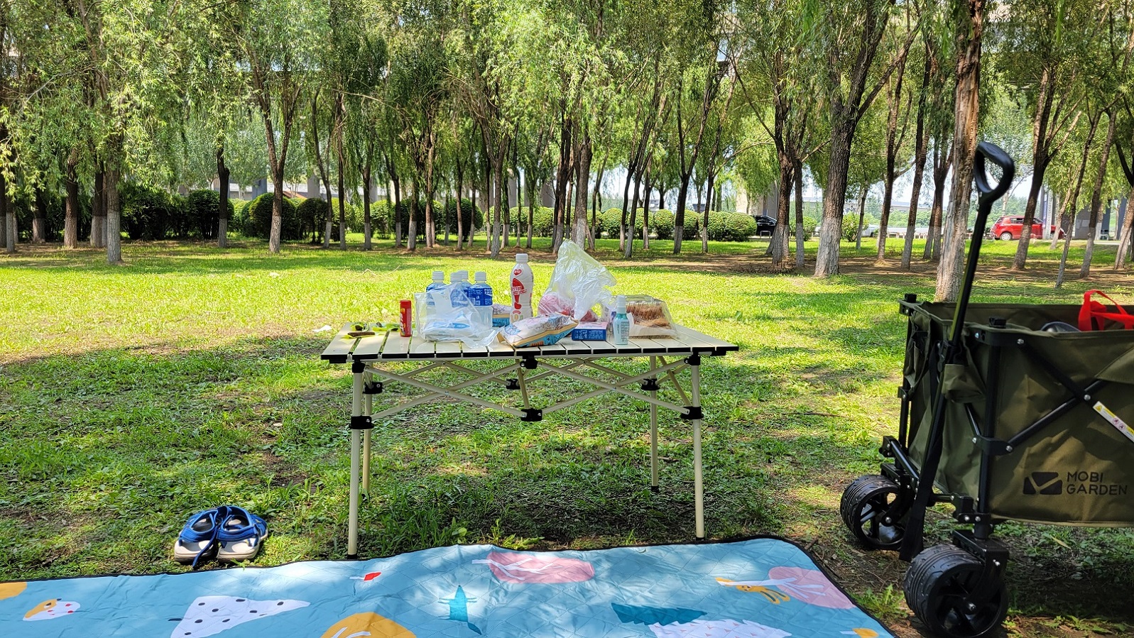 20230718_112513.jpg