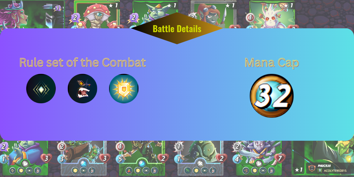 Battle Details.png