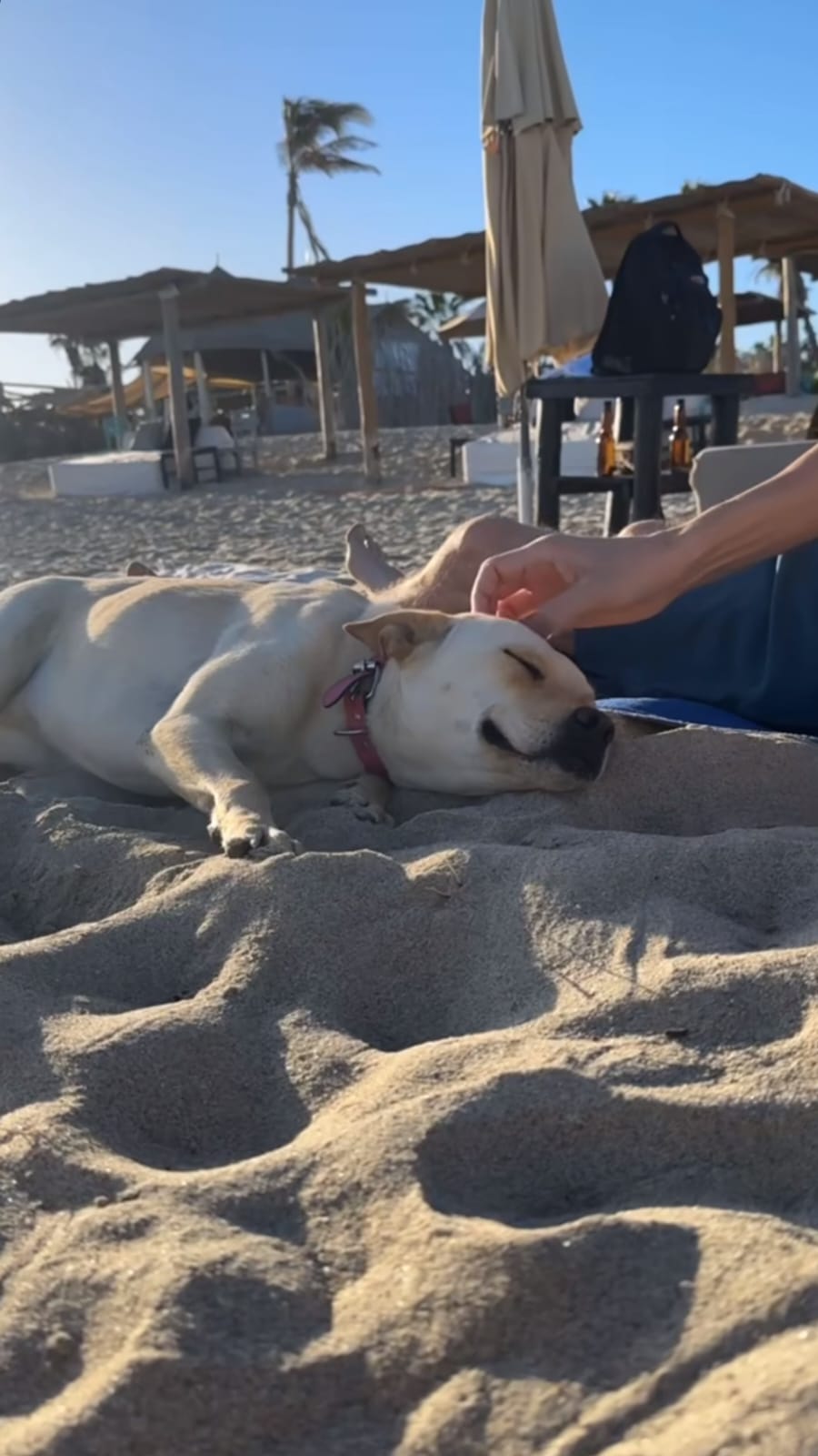 WhatsApp Image 2024-03-04 at 11.38.06 (3).jpeg