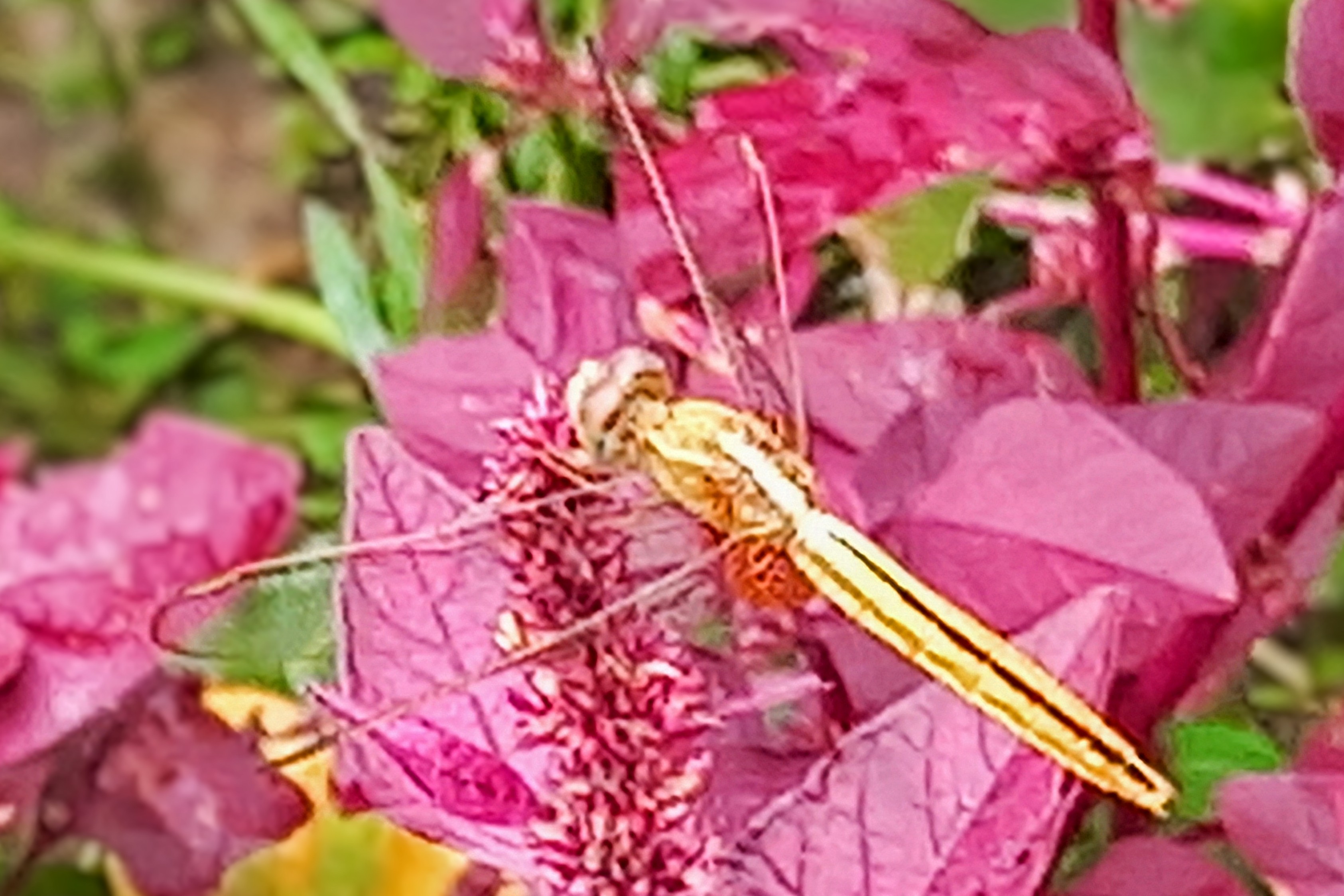 20250728_132014~2.jpg
