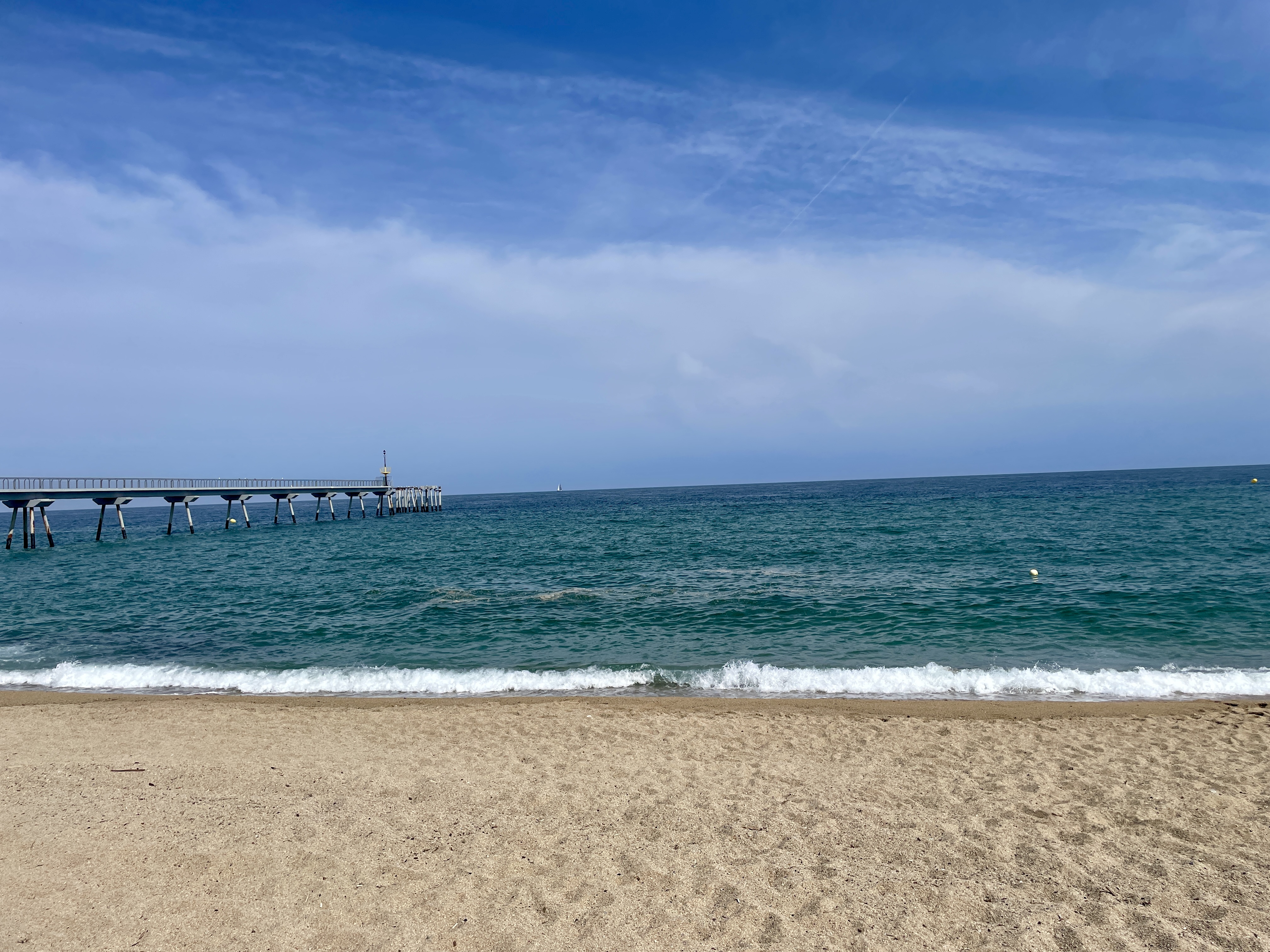 IMG_5316.jpeg