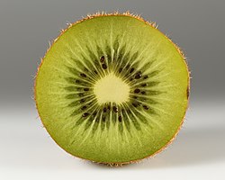 Kiwifruit_cross_section.jpg