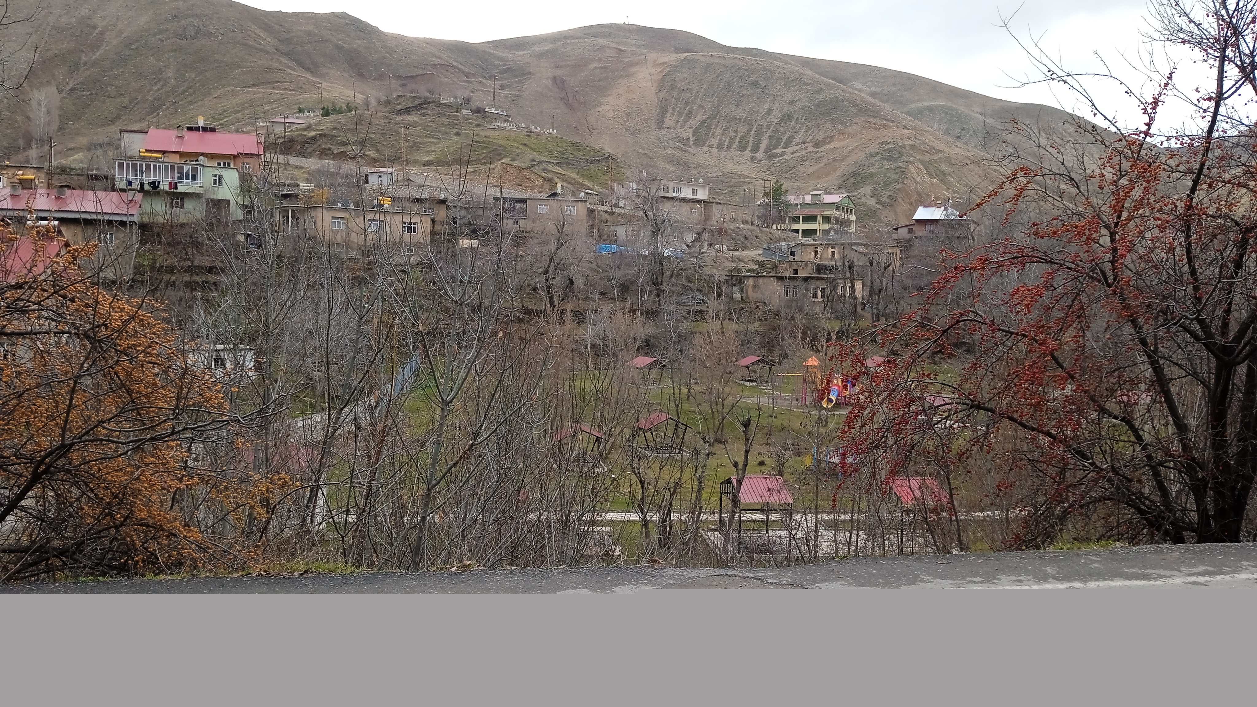 IMG_20221214_145144.jpg