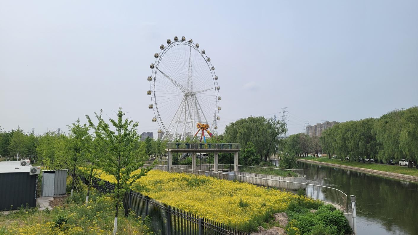 20250601_141251.jpg