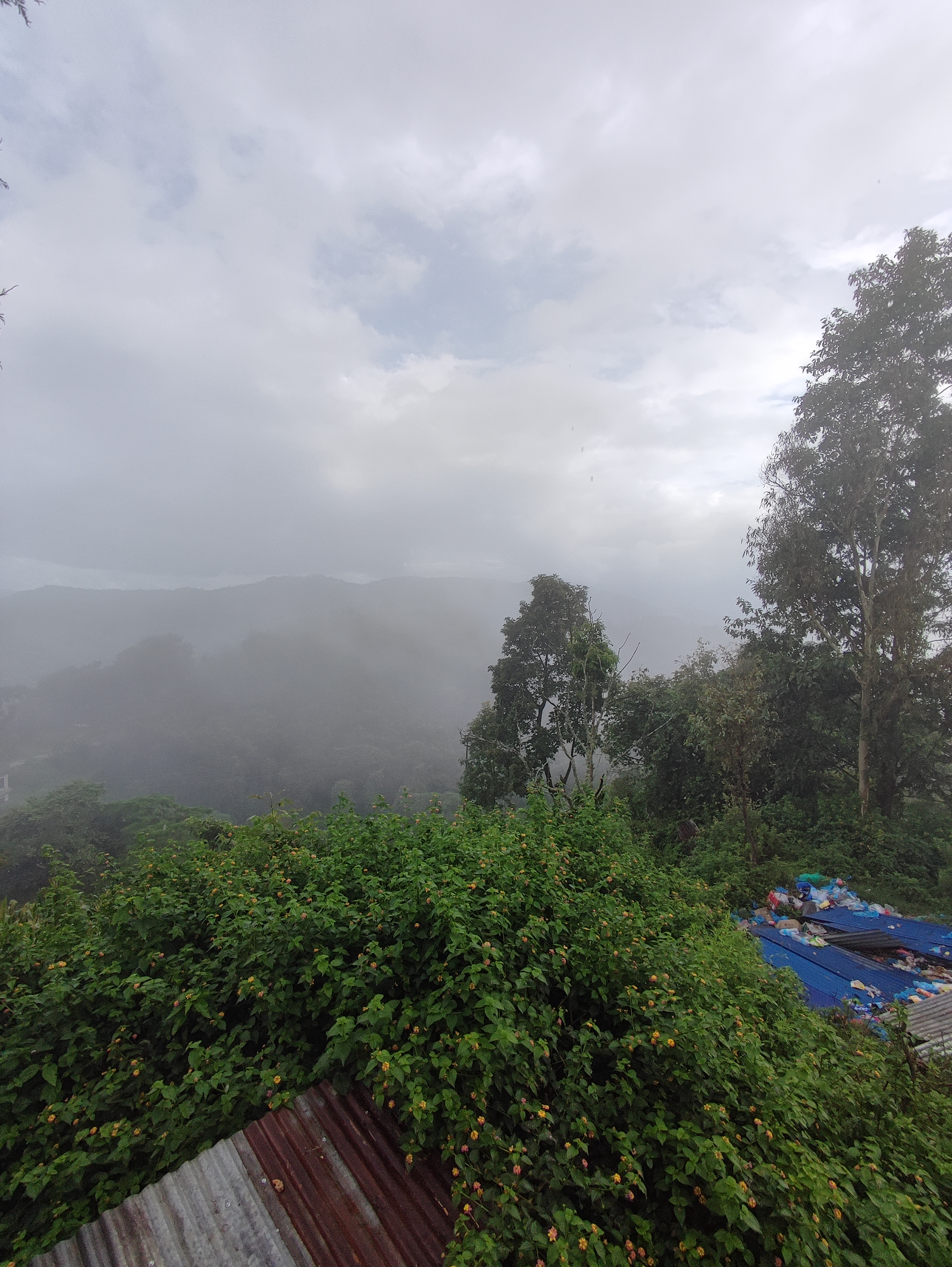 IMG_20210821_151347.jpg