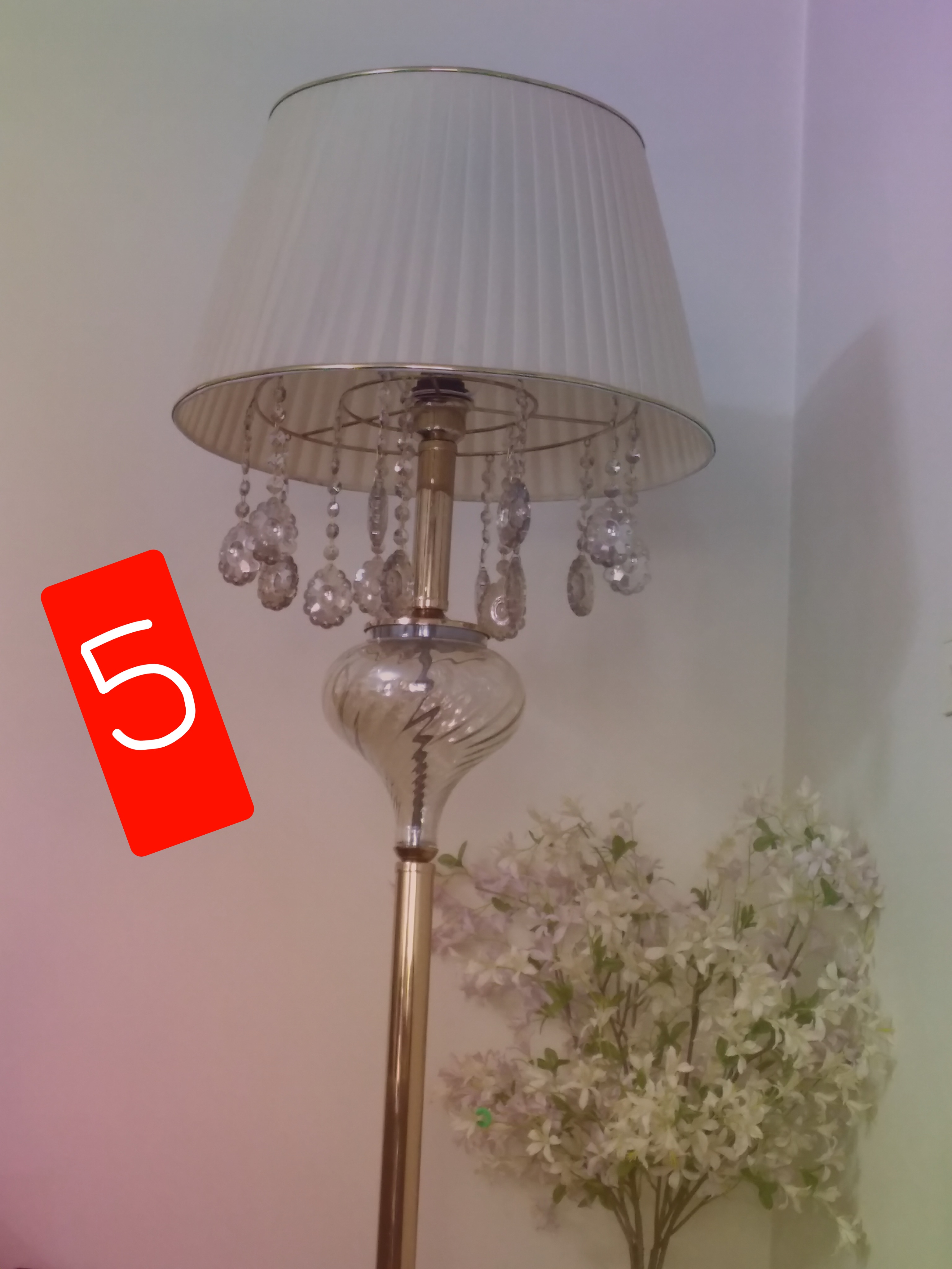 20230607_143539.jpg