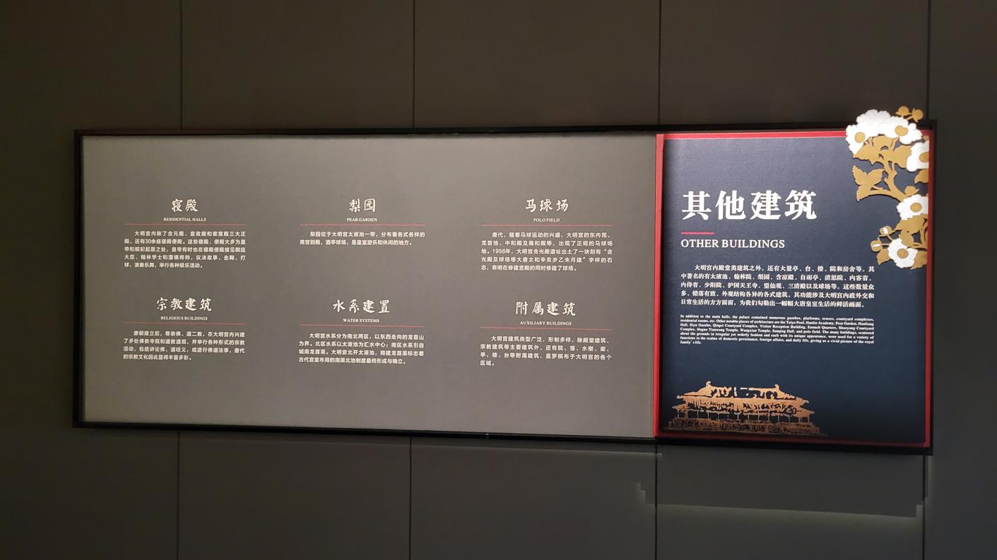 20240823_115905.jpg