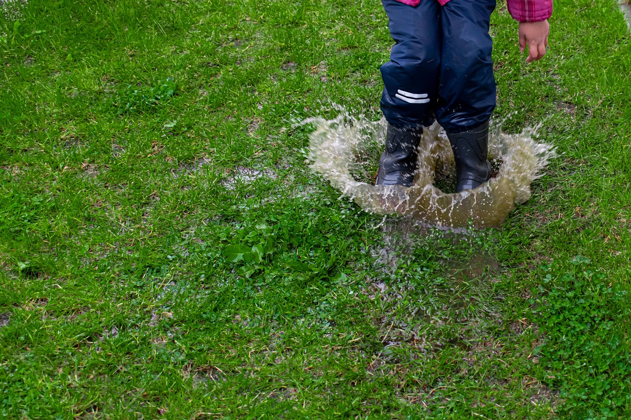 puddle-5298641_1280.jpg