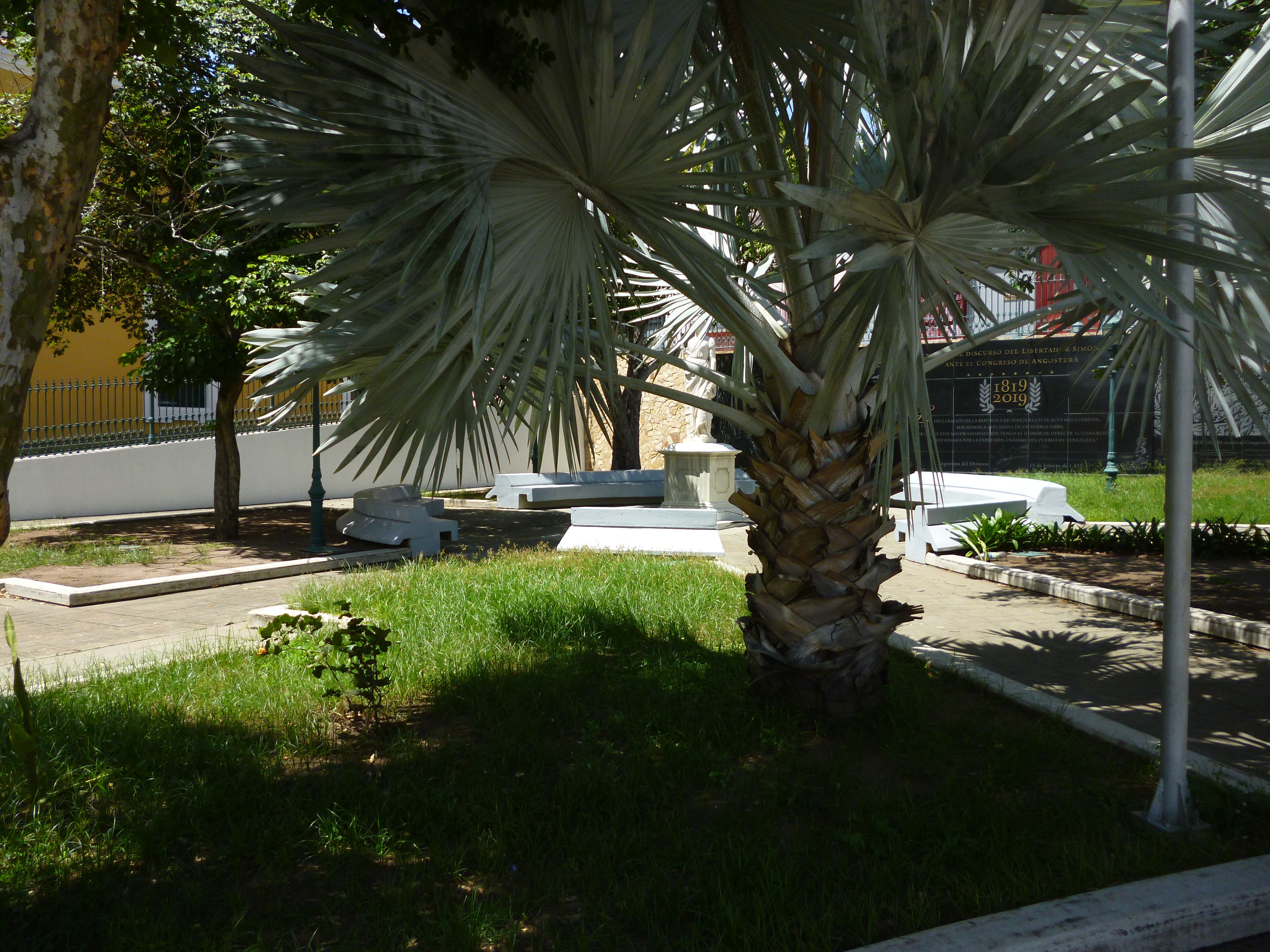 P1290615.jpg
