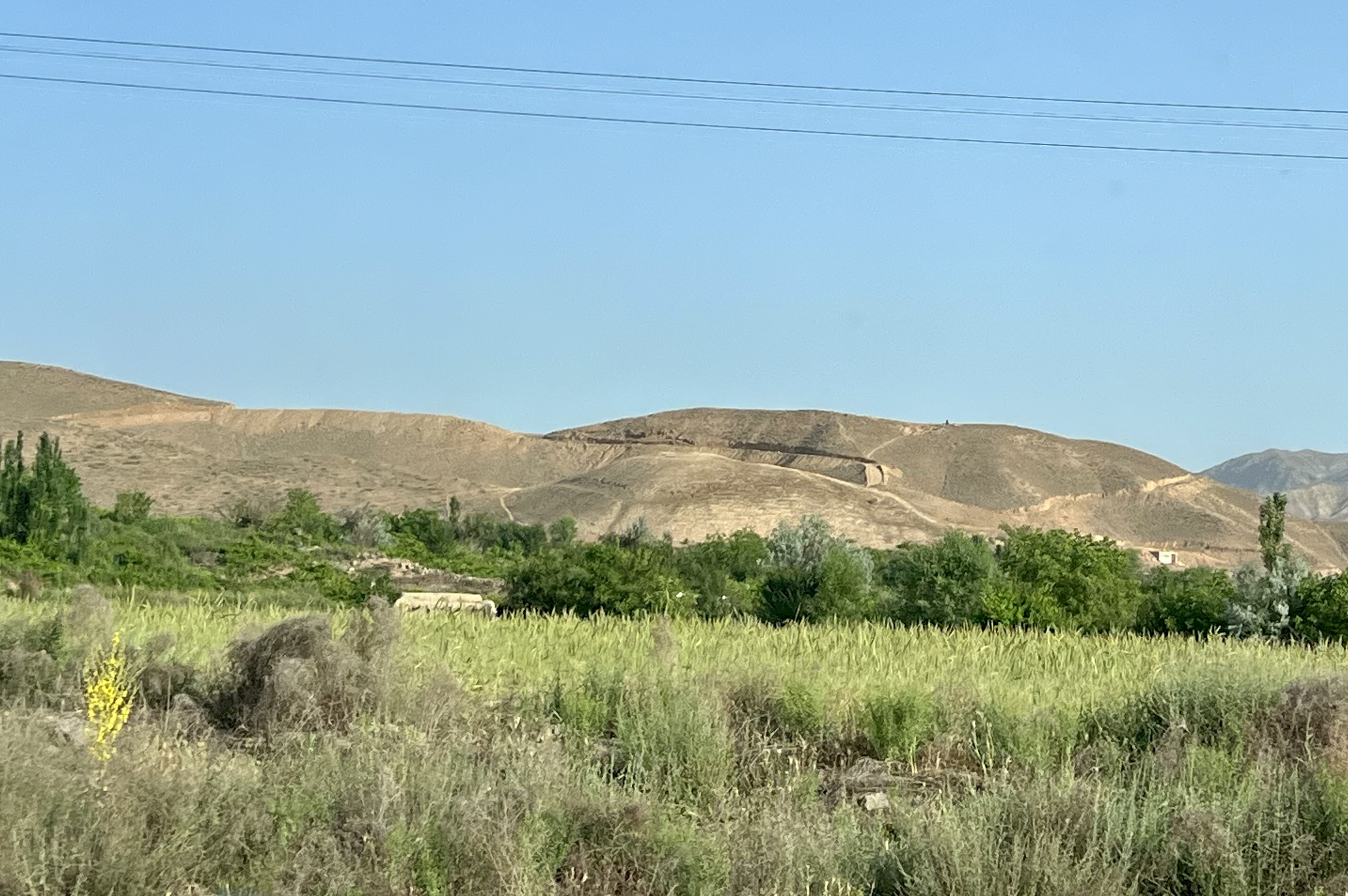 IMG_2429.jpeg