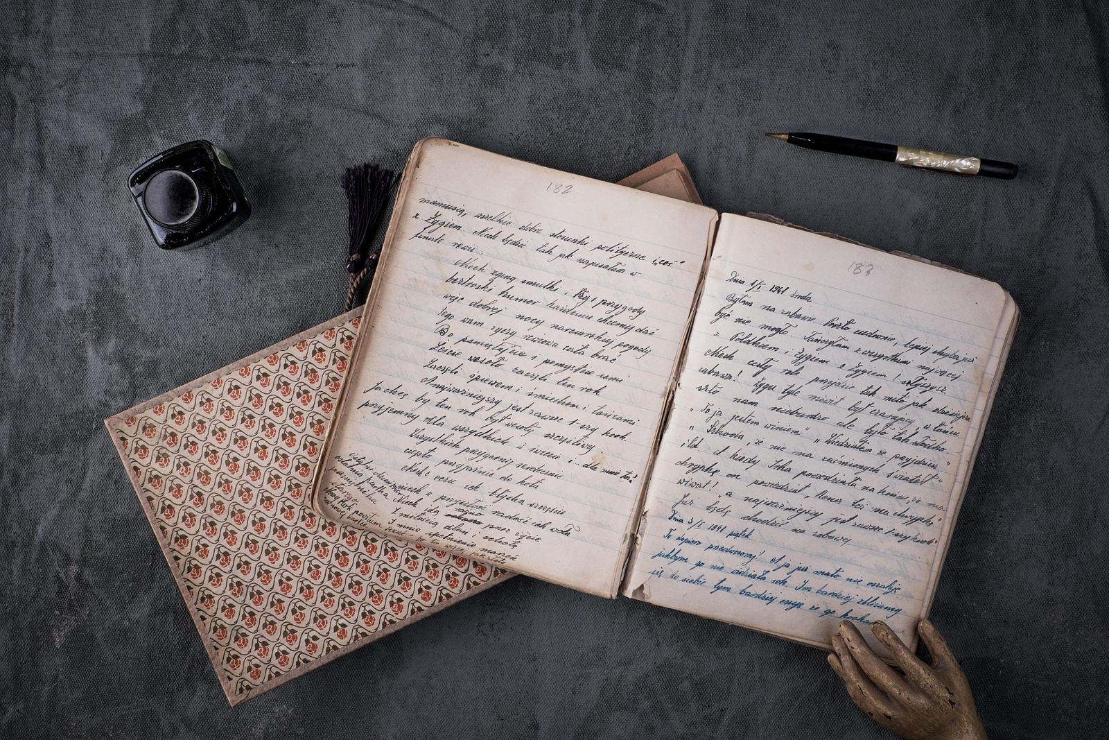 Dear Diary 2.jpg