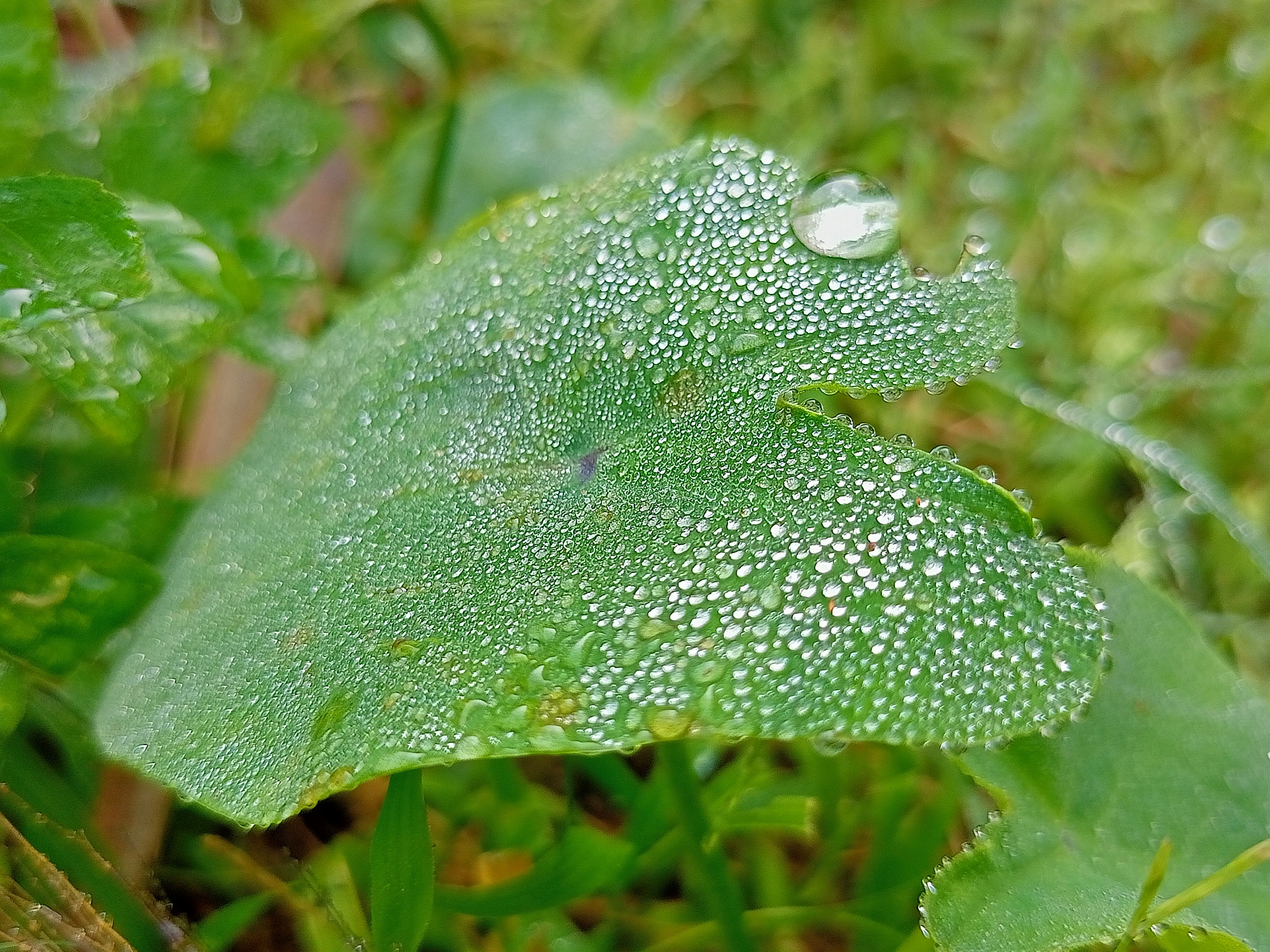 IMG20221026080203.jpg