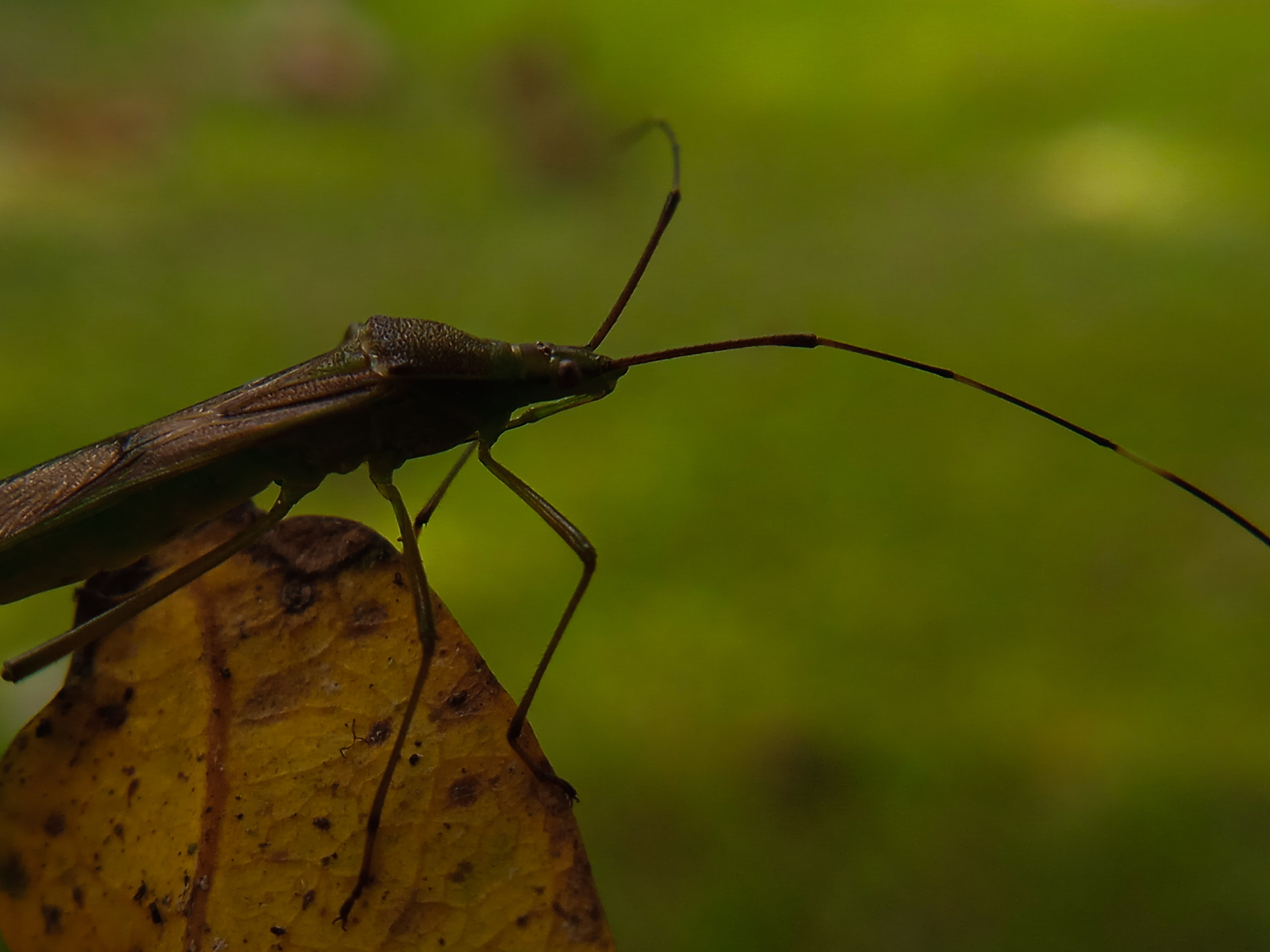 IMG_20220125_214146.jpg