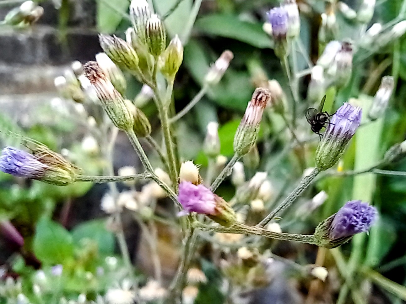 20250225_080742~2.jpg