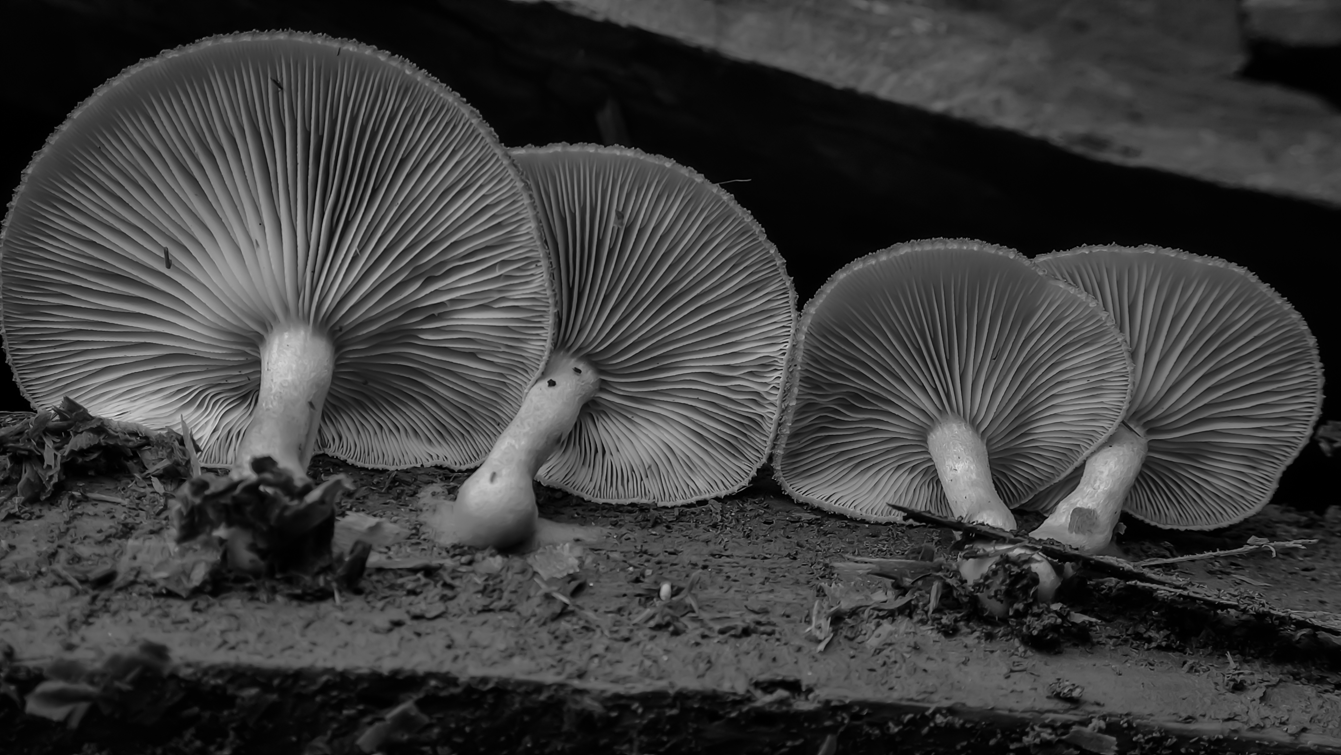 1670218106895 (1).jpg